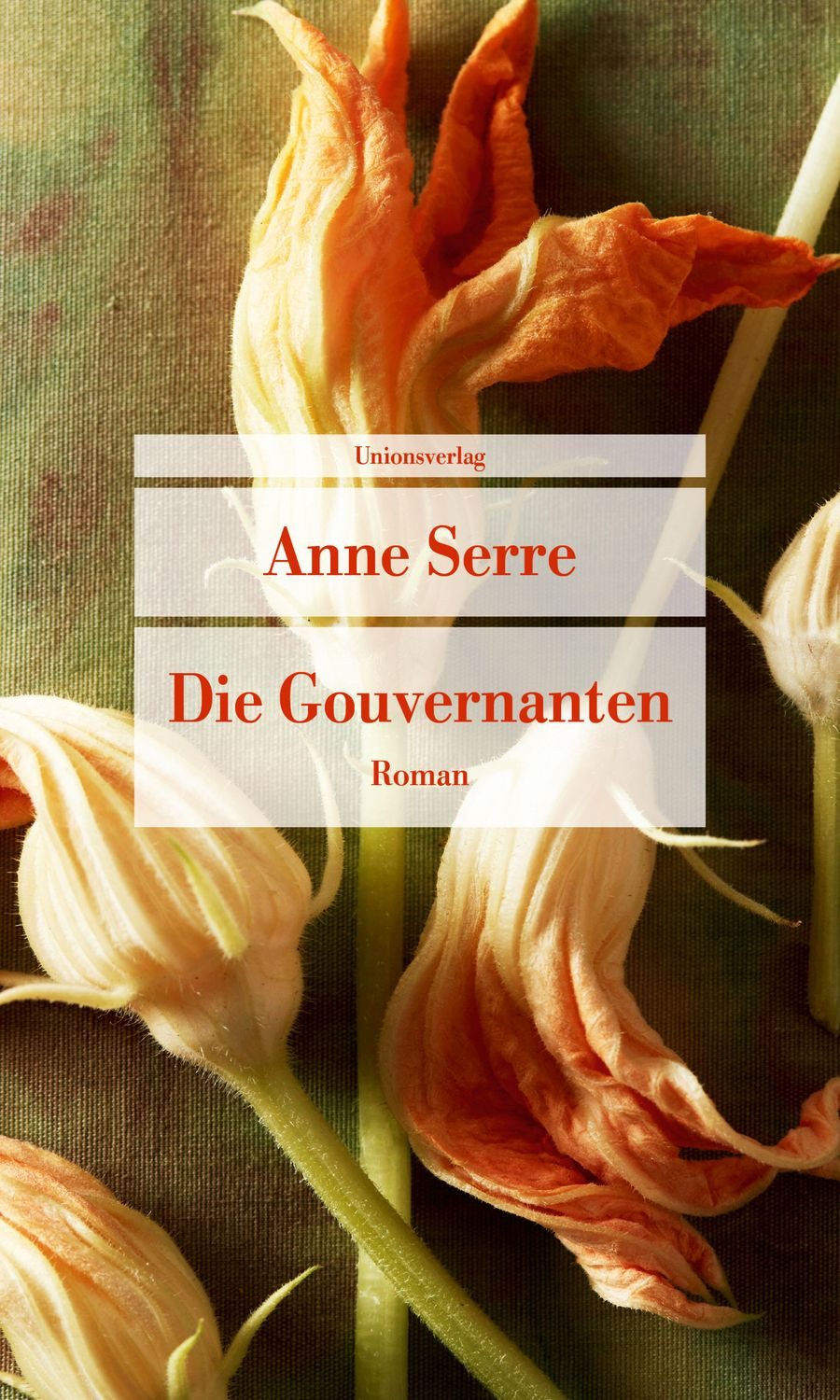 Die Gouvernanten / Anne Serre