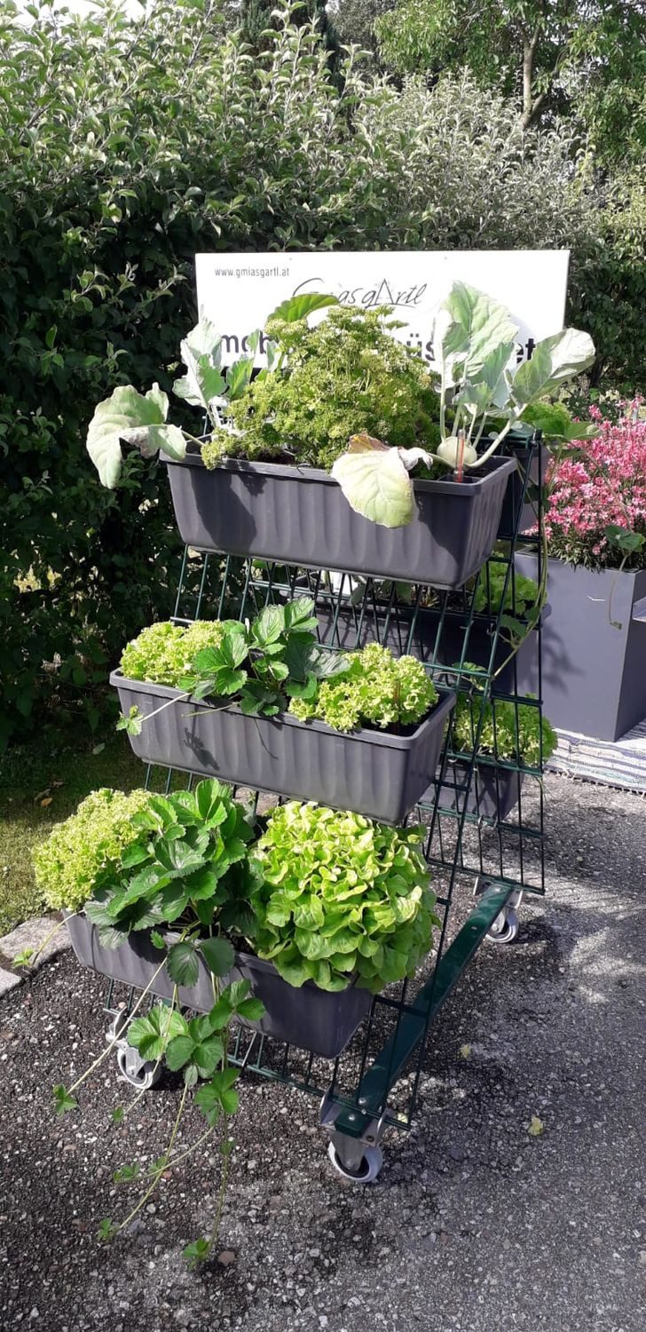 Thumbnail - PIC - Stein Blumenkastenhalter 2 Set's, 2-St., 1 Set besteht aus 4 Haken, verzinkter Stahldraht für Doppelstab Gitter Ga...