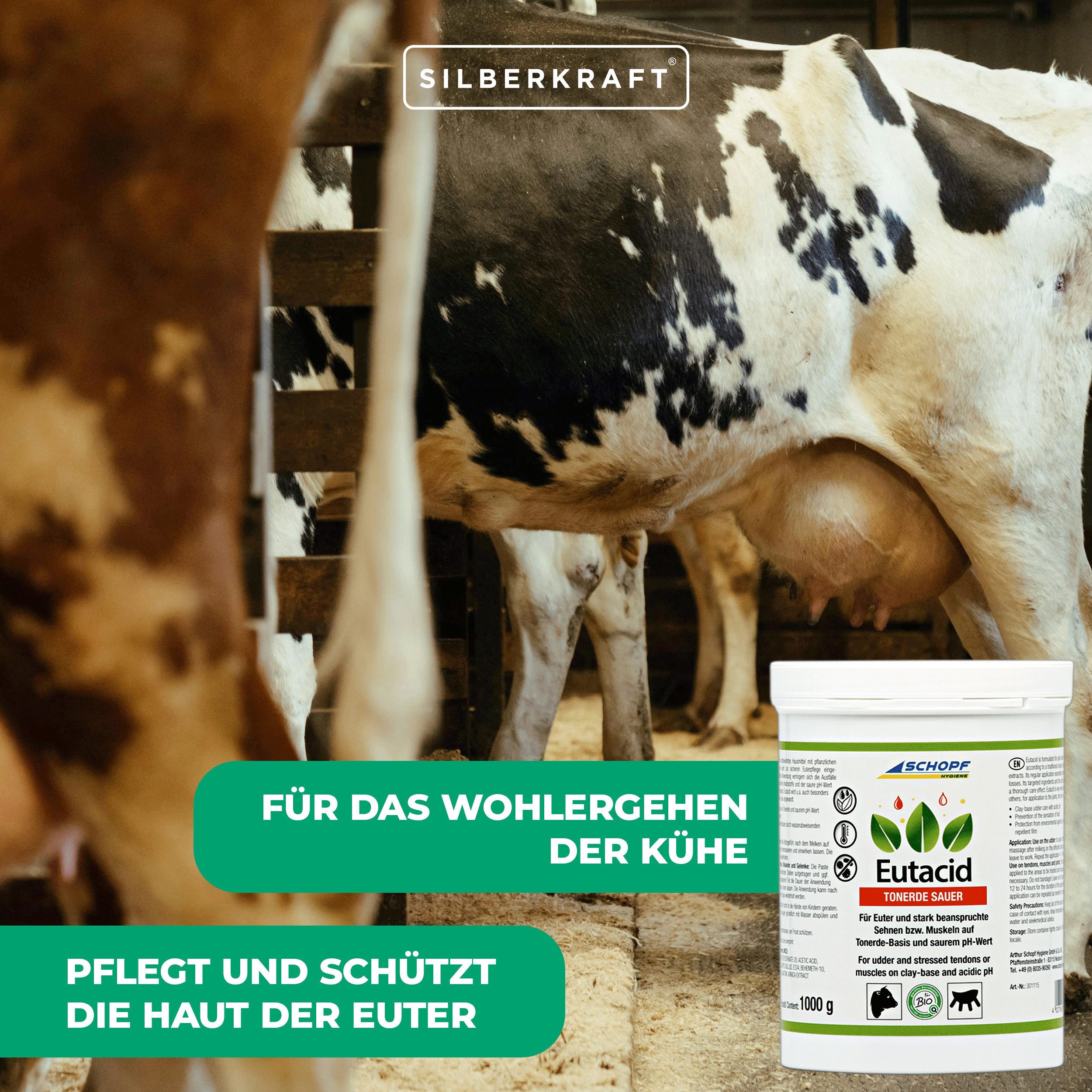 Schopf Körperbalsam Eutacid Tonerdebalsam: Vielseitige Kuh-Pflege für Euter und Gelenke Unterstützt die Regeneration des Zellgehalts in der Milch, Bildet einen wasserfesten, abweisender Schutzfilm