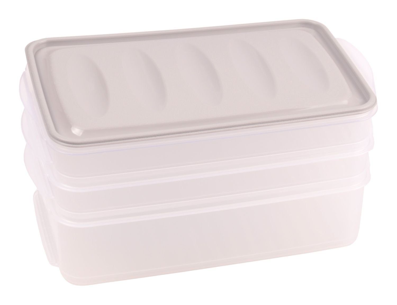 Jelenia Plast Vorratsdose Aufschnittdosen-Set Aufschnittbox Frischhaltedose Kühlschrankdose Vorr, Kunststoff hellgrau
