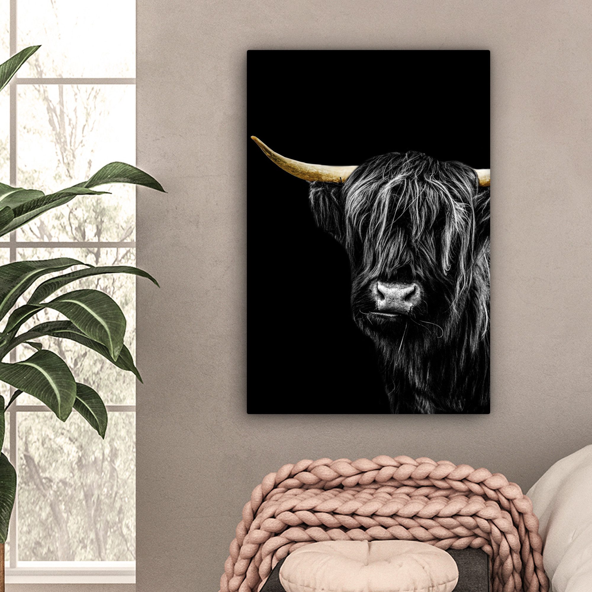 OneMillionCanvasses® Leinwandbild Schottischer Highlander - Gold - Schwarz, günstig online kaufen