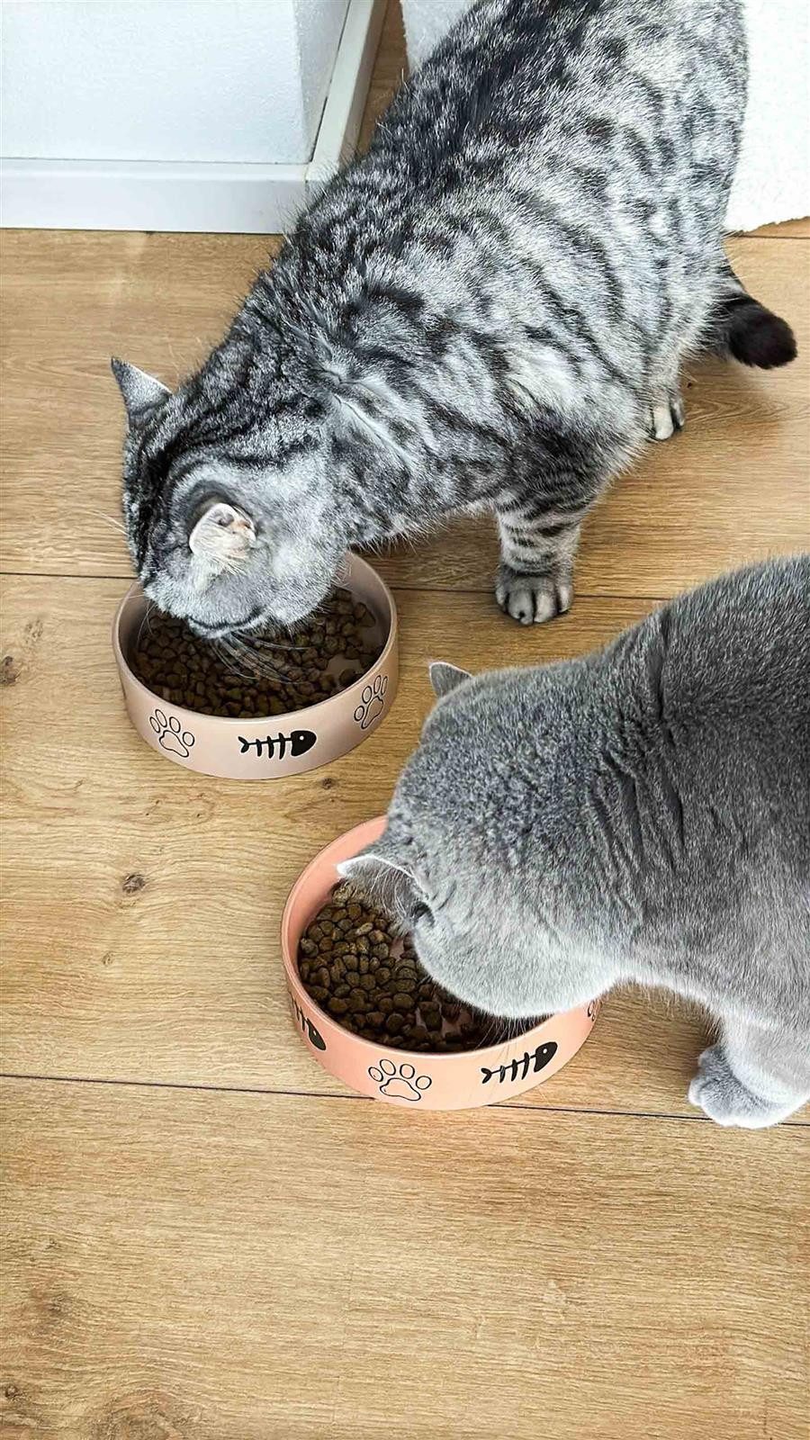 Ritzenhoff & Breker Futternapf Mika Cat Futternapf ø 14 cm, Steingut