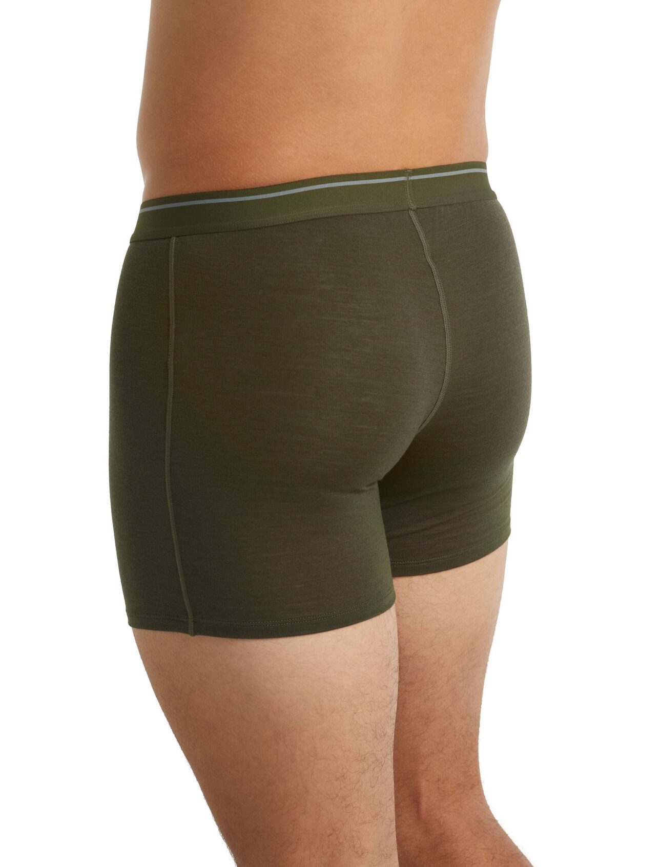 Icebreaker Boxershorts Anatomica (Merinowolle) Unterwäsche lodengrün Herren