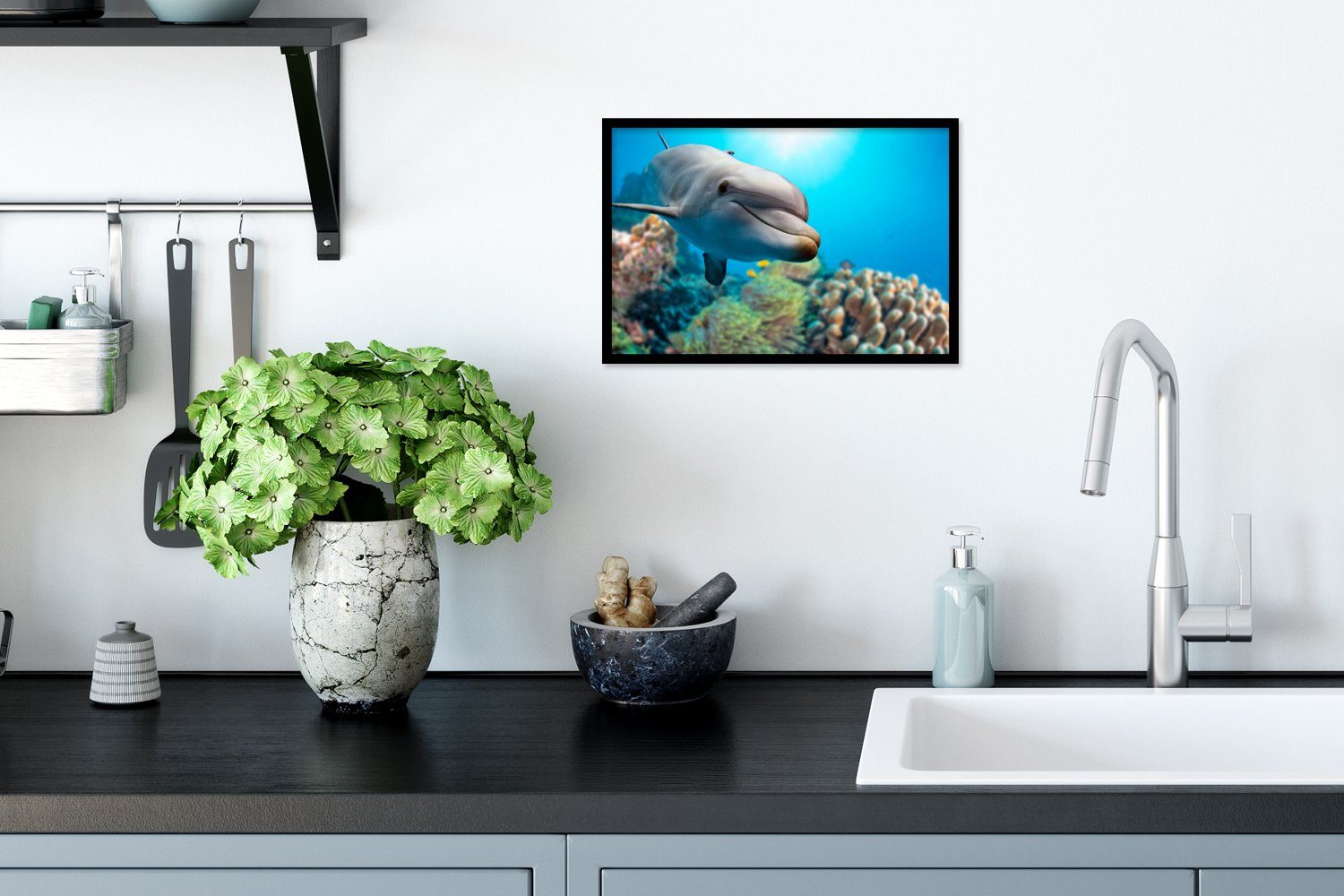 Koralle, Bilderrahmen - Poster, St), Bilder, Gerahmtes Meer Wanddeko, (1 Schwarzem Wandposter, - MuchoWow Poster Delfin