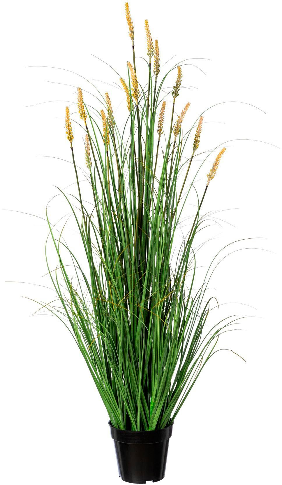 Kunstgras Grasbusch Pennisetum Gras, Creativ green, günstig online kaufen