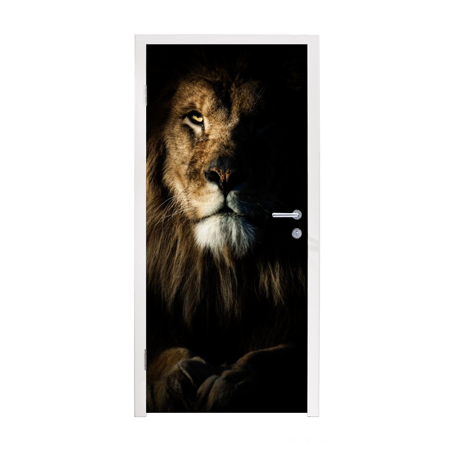 MuchoWow Türtapete Löwe - Licht - Porträt, Matt, bedruckt, (1 St), Fototapete für Tür, Türaufkleber, 75x205 cm