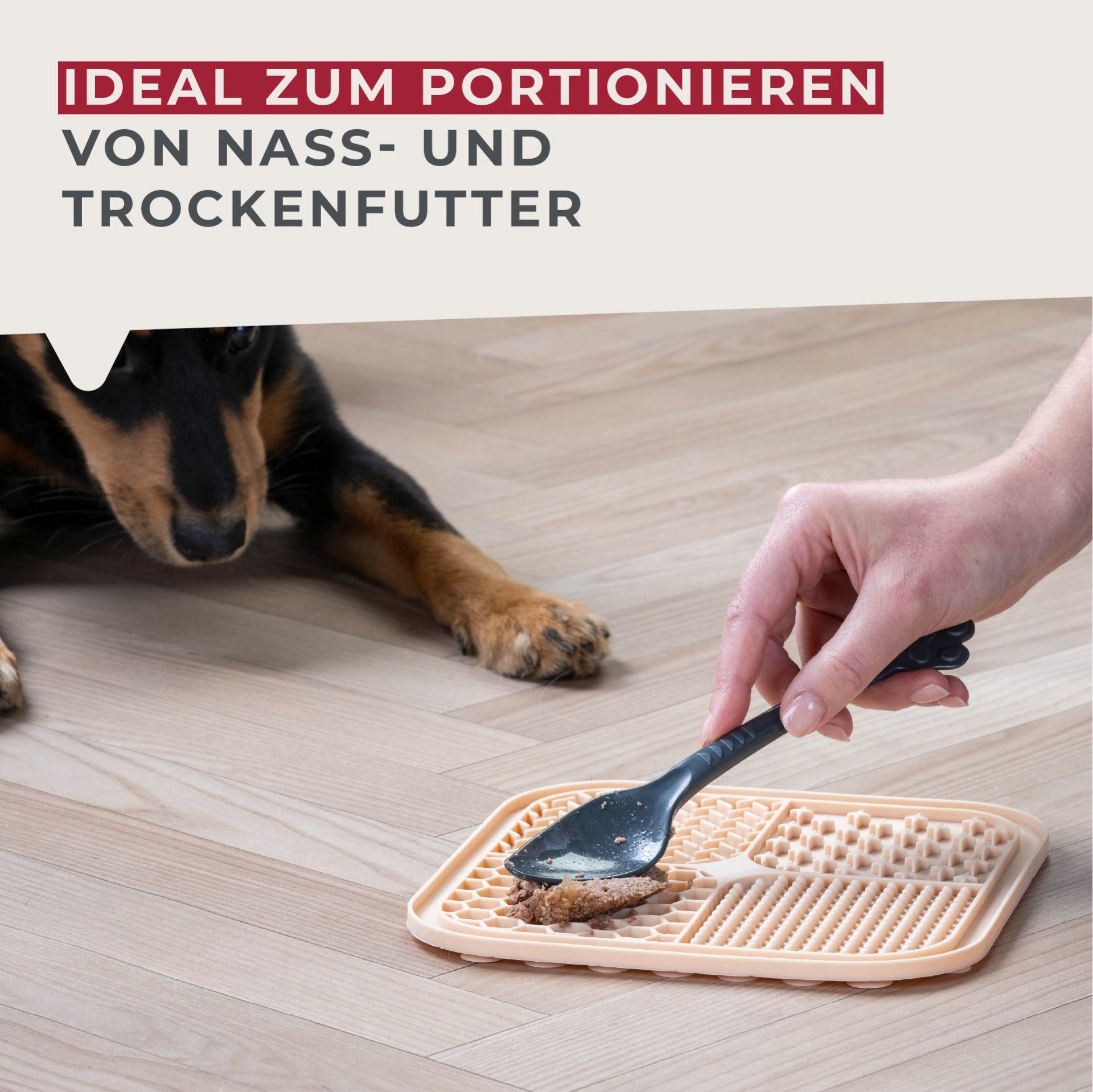 FACKELMANN Futterschaufel Tiernahrungslöffel, Futterlöffel, Katzenlöffel, Hundefutter Löffel – Bild 3 von 5