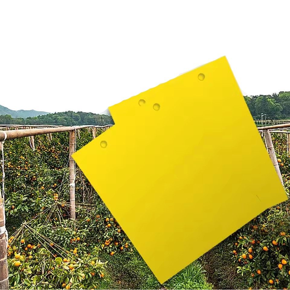 Montegoni Gartenpflege-Set 10er-Set Fruchtfliegen- & Insektenfallen (10x20cm) – Für Haus & Garten, Hochwirksame Klebefläche, Wetterfest & langlebig – Bild 3 von 5