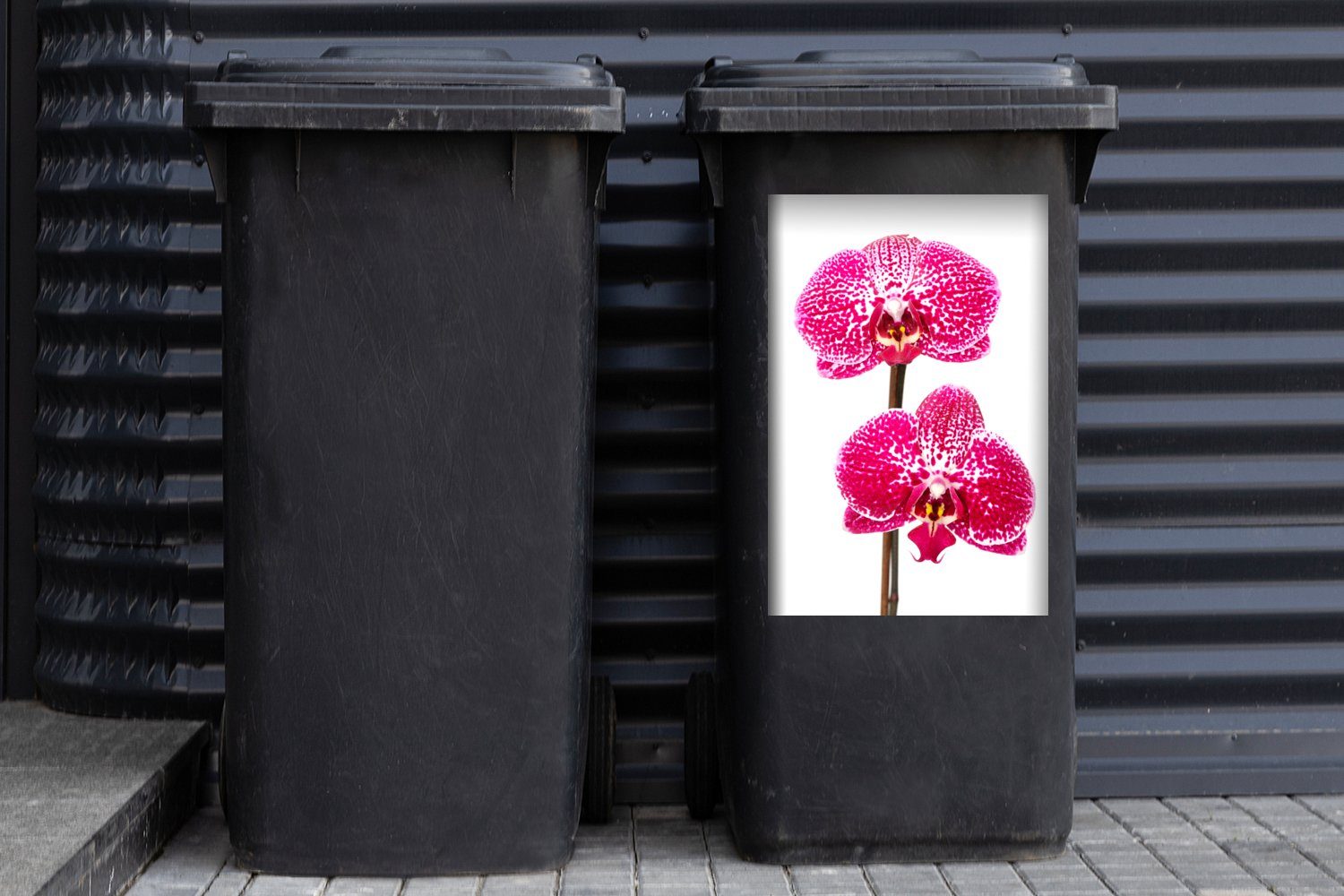 Orchidee Container, Abfalbehälter rosa Wandsticker Mülltonne, St), Sticker, MuchoWow Mülleimer-aufkleber, (1