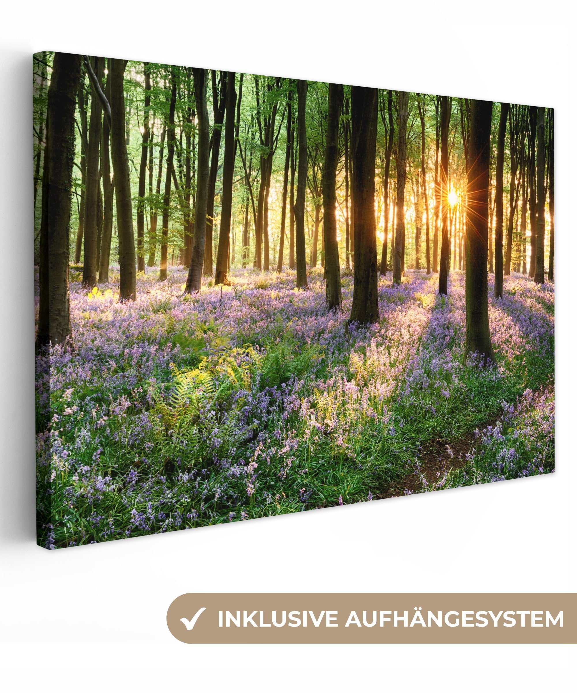 OneMillionCanvasses® Leinwandbild Wald - Blumen - Lavendel - Sonne - Lila - günstig online kaufen