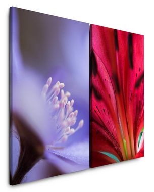 Sinus Art Leinwandbild 2 Bilder je 60x90cm Blüten Blumen Sommer Sanftmut Weich Dekorativ Feminin