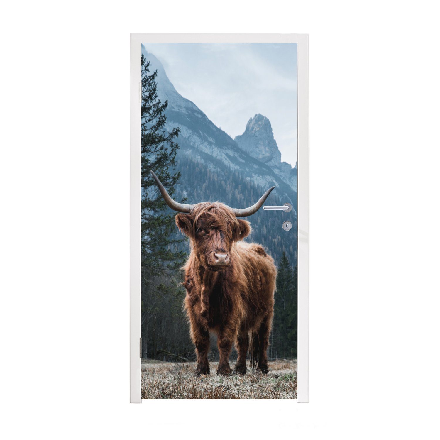 MuchoWow Türtapete (1 - Schottische für Fototapete St), 75x205 bedruckt, Tür, Highlander Matt, Türaufkleber, - Landschaft, Tiere cm