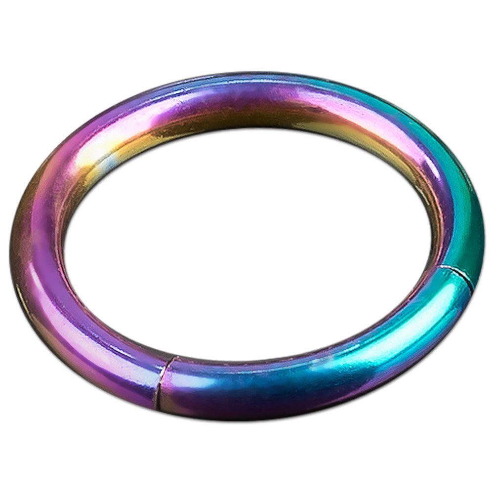 Ring Chirurgenstahl, Nasenring Lippe Helix Segmentring Nasenpiercing Septum Regenbogen viva-adorno Ohrpiercing Piercing