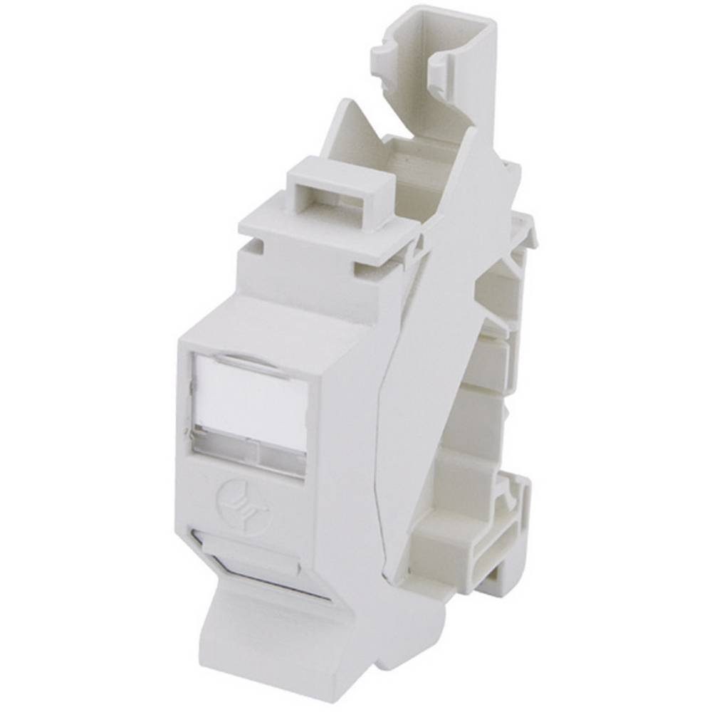 Netzwerkdose für Hutschienenmontage CAT 6A Netzwerk-Adapter