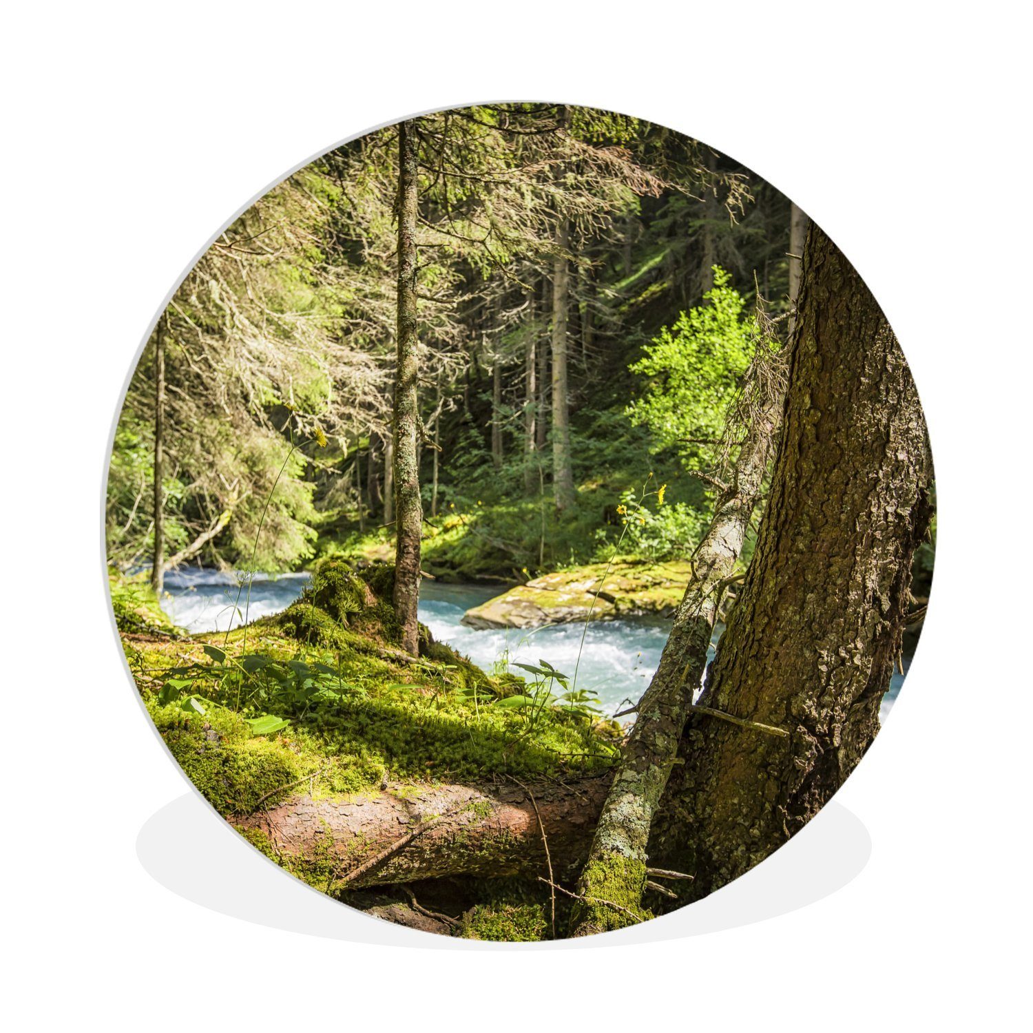 MuchoWow Gemälde Flussbett in den Wäldern des Nationalparks Hohe Tauern, (1 St), Kreis Wanddekoration Forex, Rundes Wandbild, Wohnzimmer, 30x30 cm