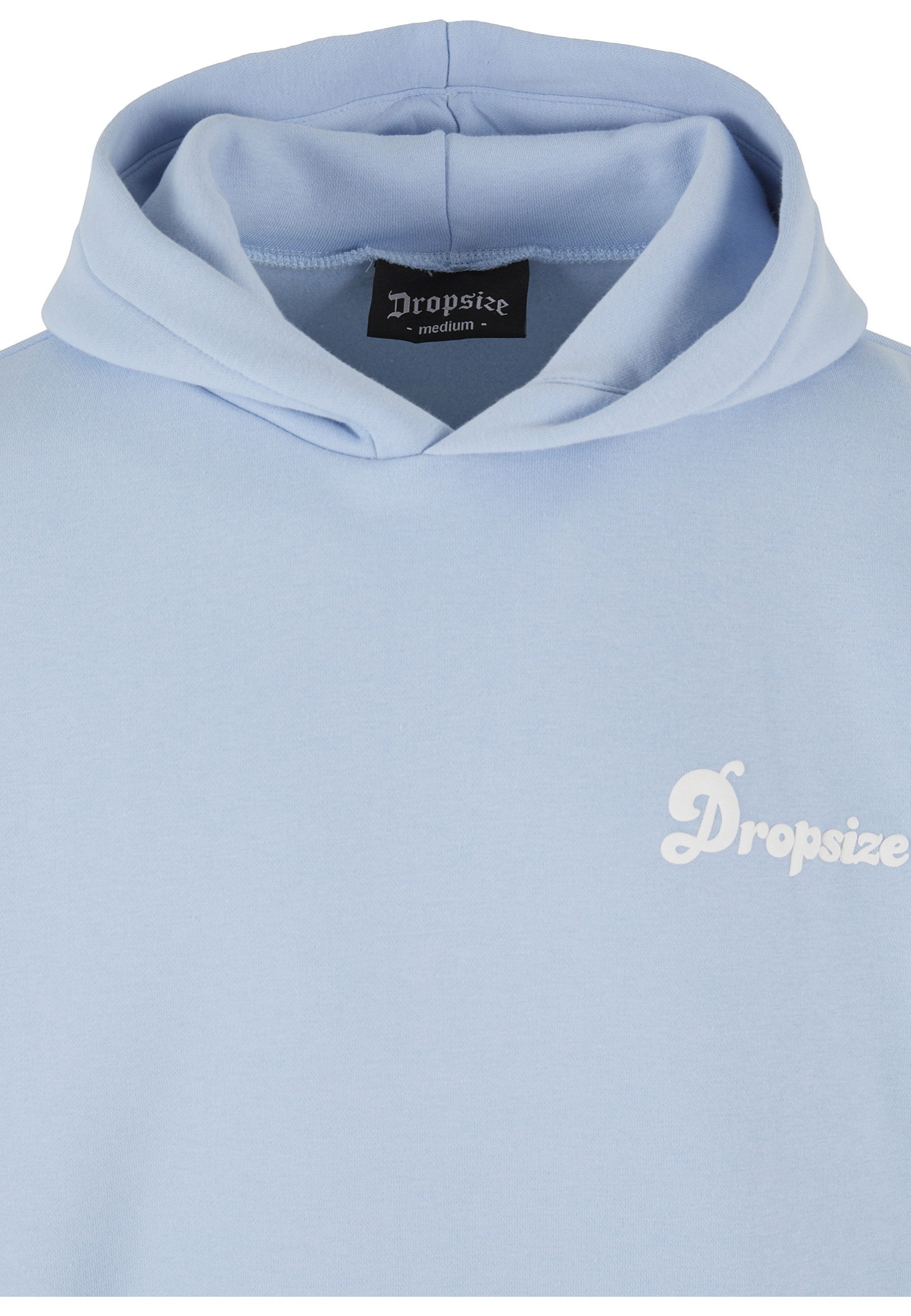 Dropsize Kapuzensweatshirt Dropsize Herren Heavy Oversize DWF Hoodie (1-tlg)