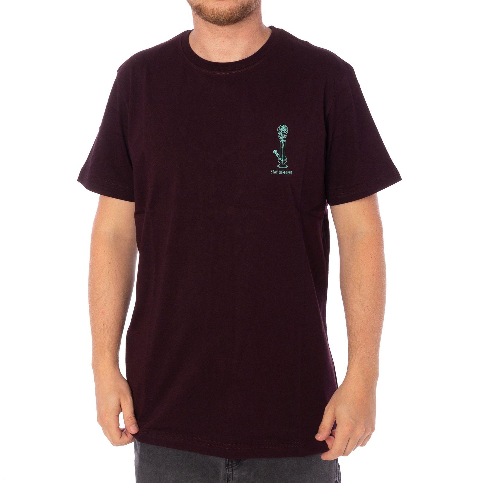 aubergine iriedaily Tee Iriedaily T-Shirt Rosebong T-Shirt