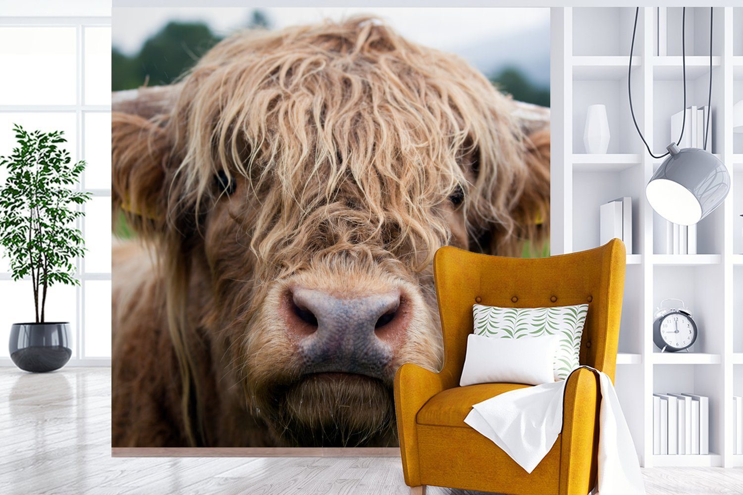 Schlafzimmer, MuchoWow - (5 Wandtapete Schottische Landschaft Nahaufnahme, Highlander-Kuh Fototapete für oder Vinyl St), - Tapete Matt, bedruckt, Wohnzimmer