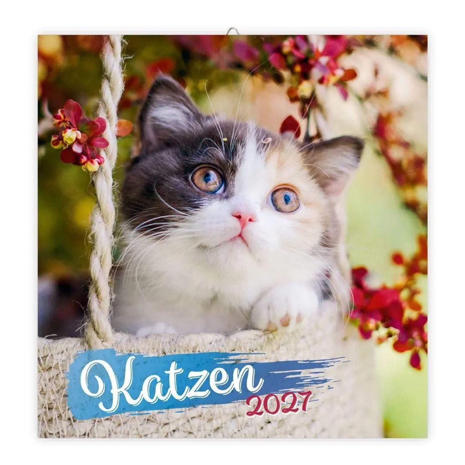 Trötsch Verlag Wandkalender TRÖTSCH - Broschürenkalender Katzen 2027