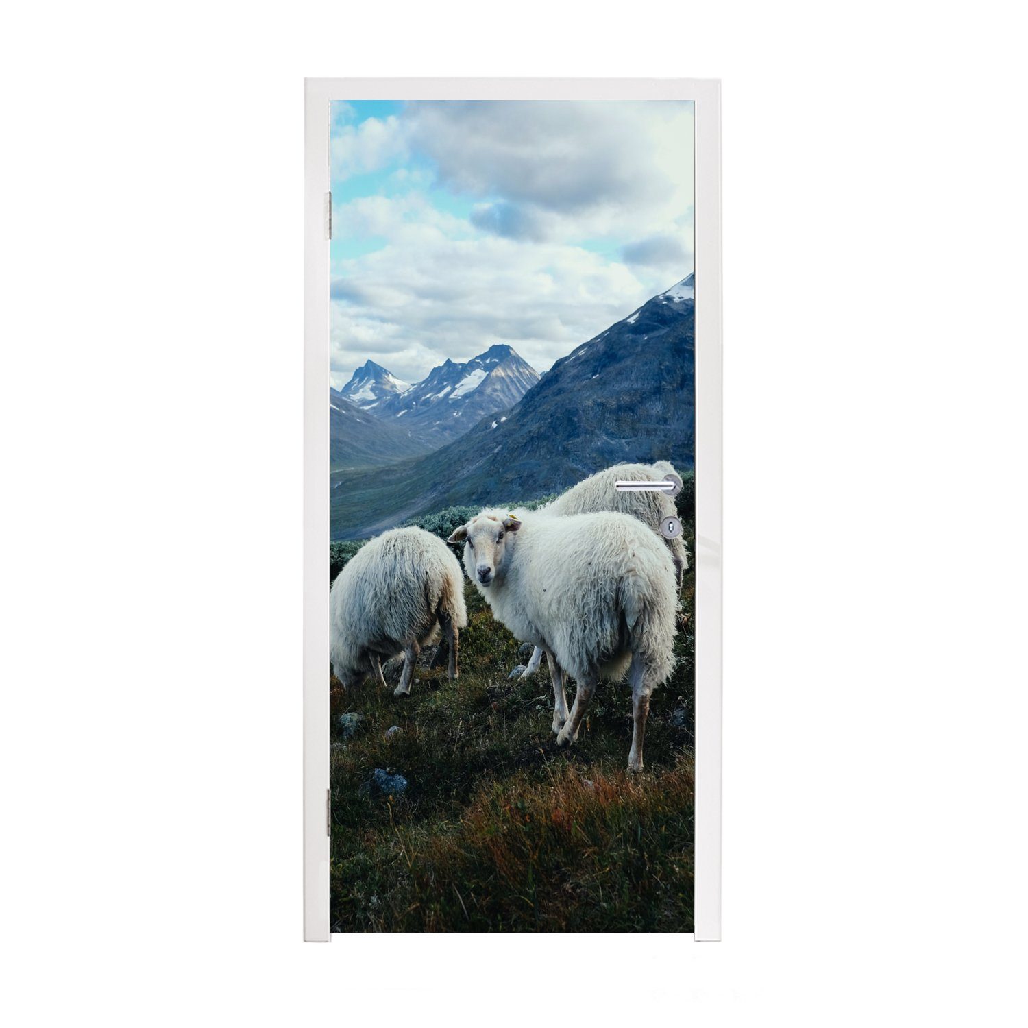 MuchoWow Türtapete Schafe - Natur - Berge, Matt, bedruckt, (1 St), Fototapete für Tür, Türaufkleber, 75x205 cm