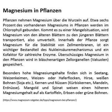 Köhko Pflanzkübel "ROCK" aus Magnesiumoxid (MgO) Pflanztopf in Schieferoptik