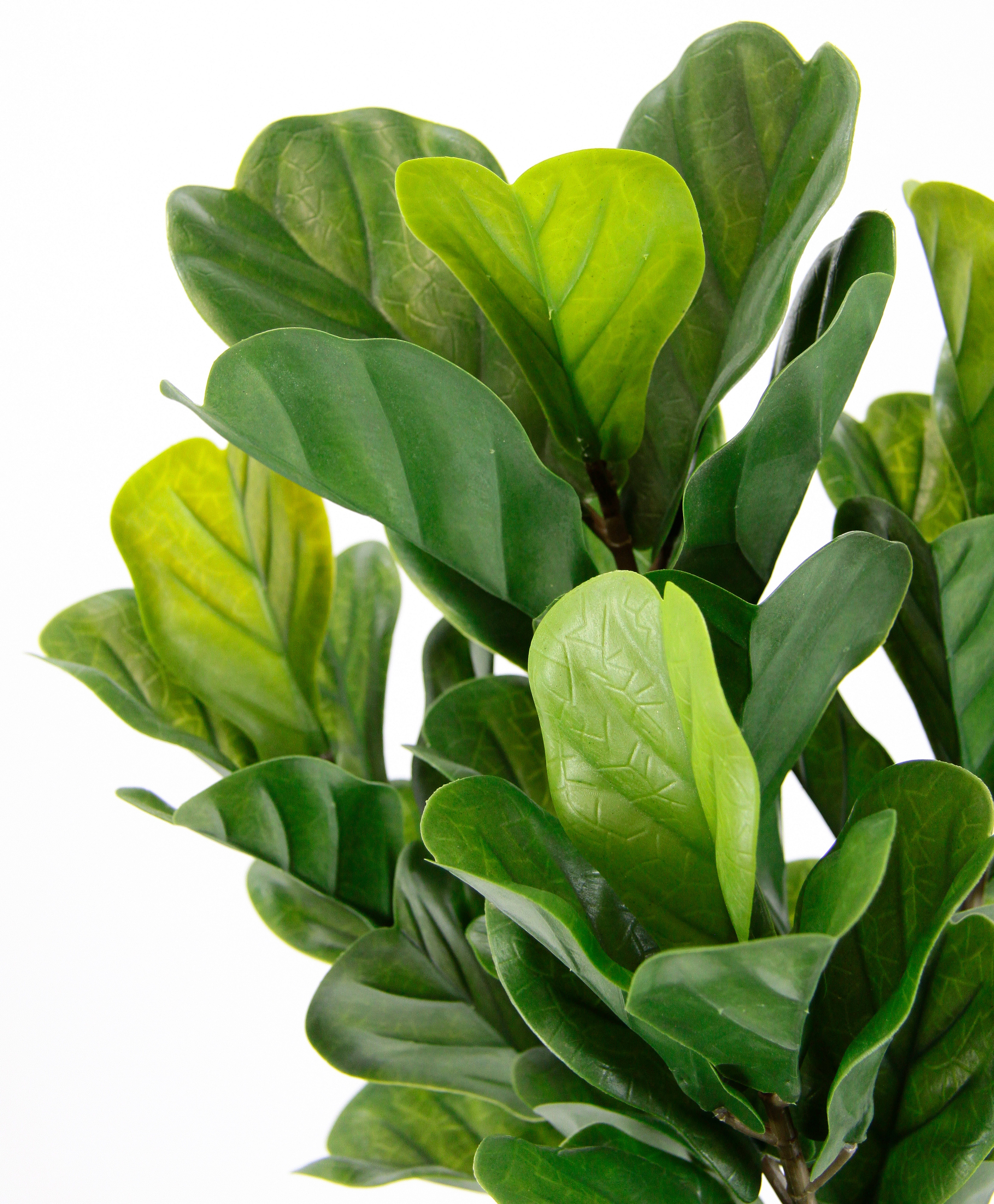 Kunstpflanze Künstliche Pflanze Feigenbaum Kunstpflanze Zimmerpflanze Grünp günstig online kaufen