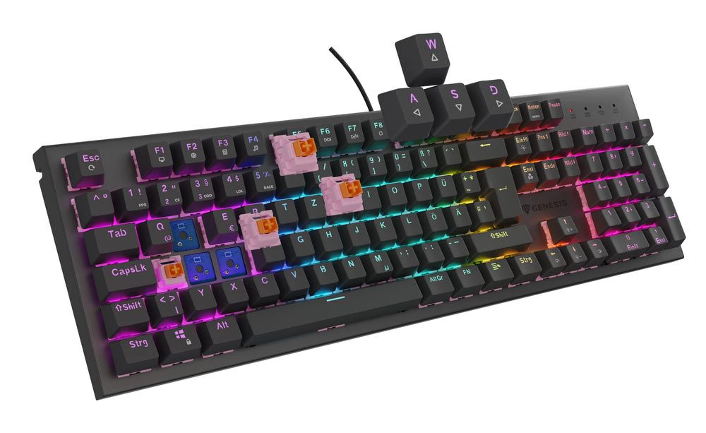 Natec PC-Tastatur