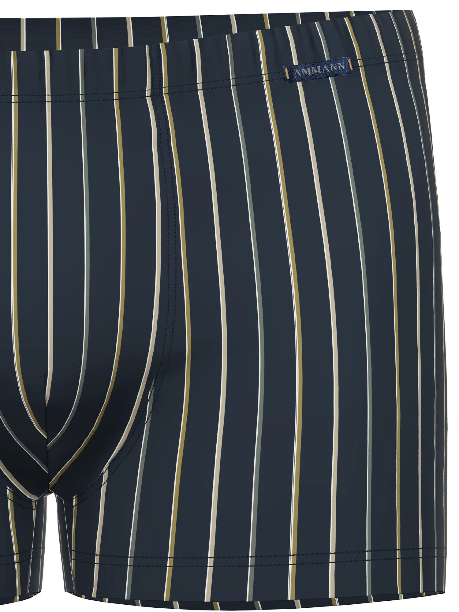 Ammann Retro Pants Herren Retro Short Day Modern / New Modern (Stück, 1-St) günstig online kaufen