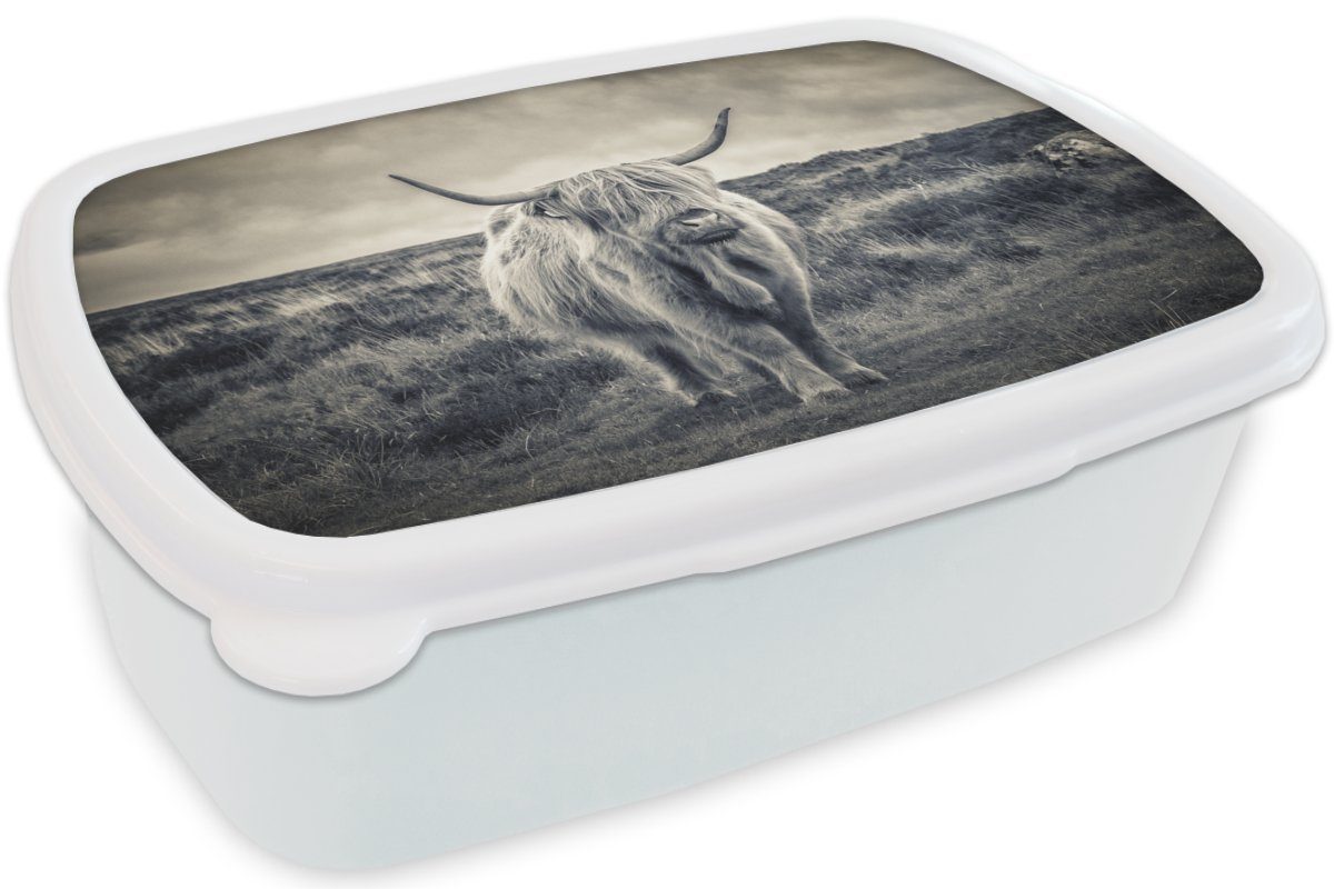 MuchoWow Lunchbox Schottischer - Kinder Brotbox Wolken Kuh weiß und für Natur, und für - Tiere Jungs Hochländer (2-tlg), Kunststoff, Erwachsene, - - Brotdose, Mädchen