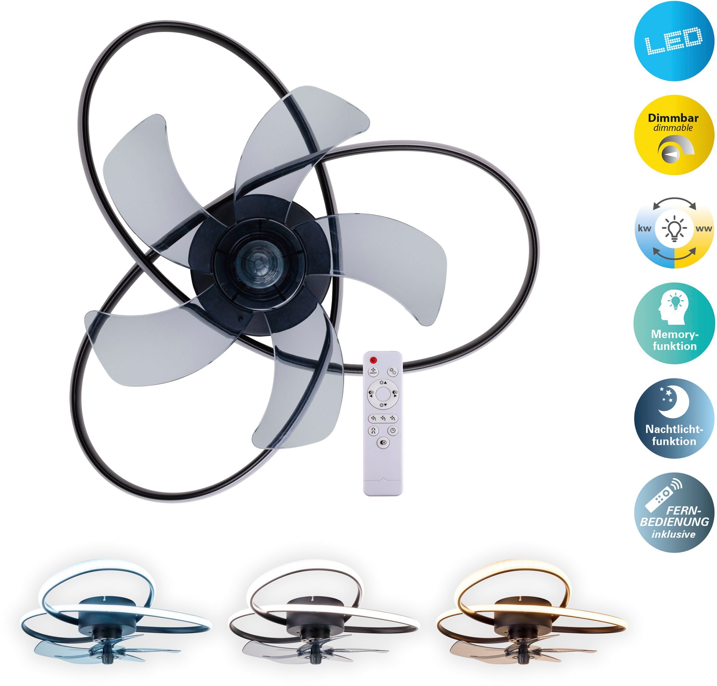my home LED Deckenleuchte Leccio Deckenventilator, CCT - über Fernbedienung günstig online kaufen