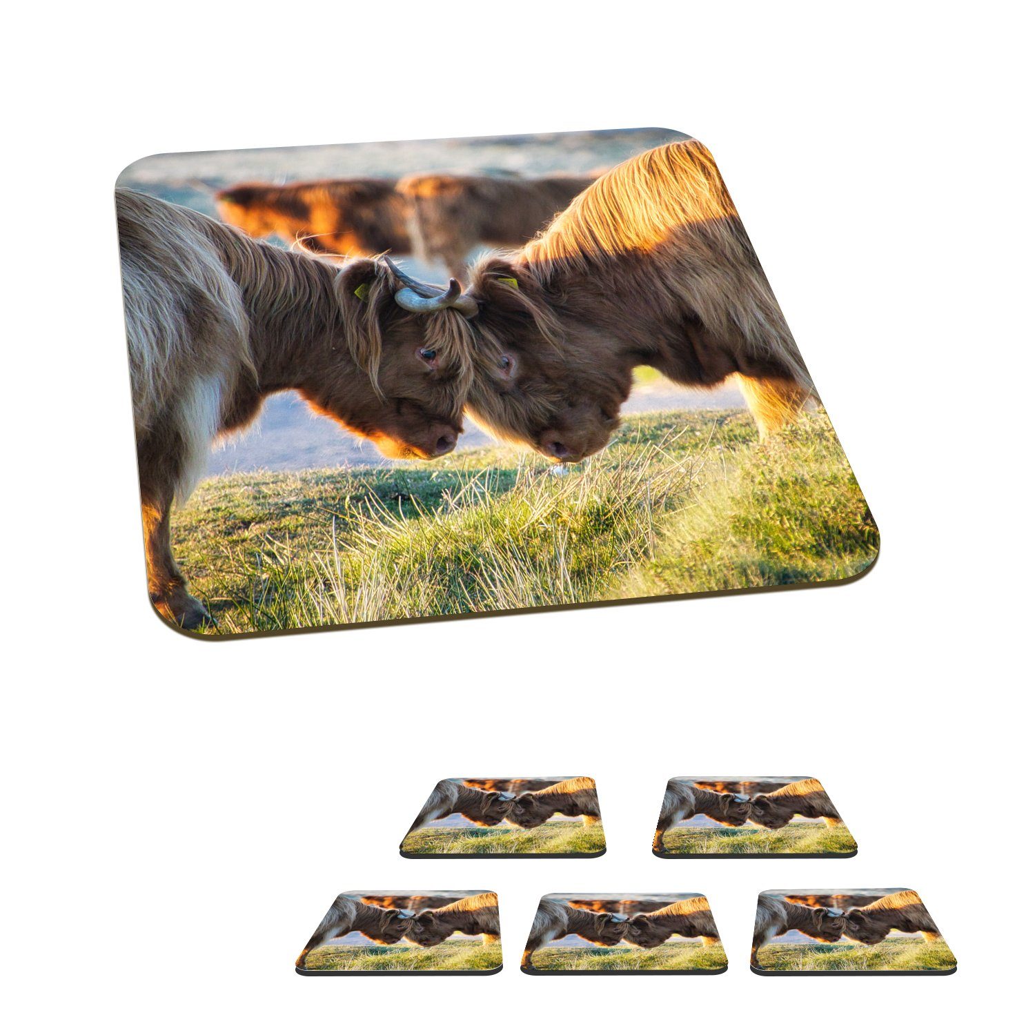 MuchoWow Glasuntersetzer Schottische Highlander - Tiere - Sonne, Zubehör für Gläser, 6-tlg., Glasuntersetzer, Tischuntersetzer, Korkuntersetzer, Untersetzer, Tasse