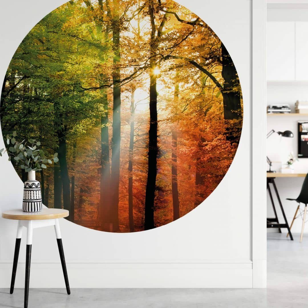 K&L Wall Art Fototapete Fototapete Goldener Herbst Natur Wald Vliestapete Rund Tapete, Herbstgold Tapete