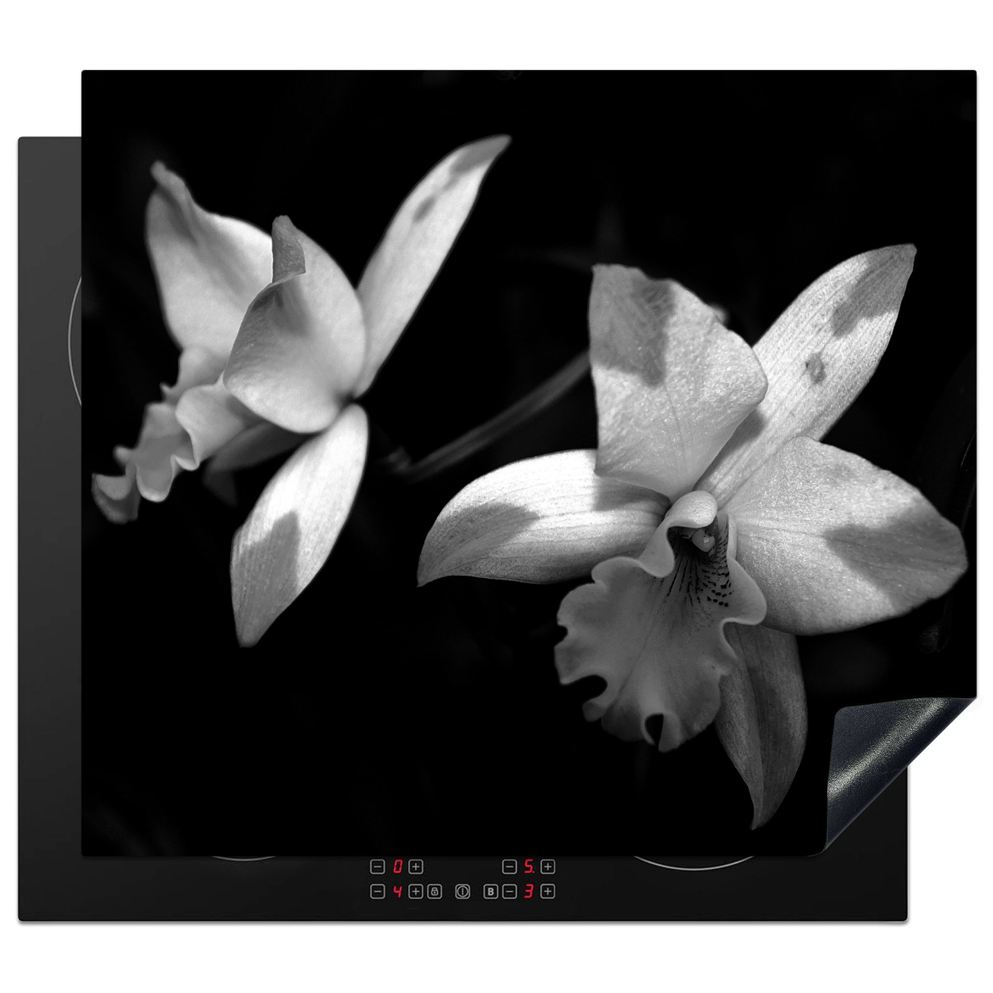 MuchoWow Herdblende-/Abdeckplatte Zwei Orchideenblüten - schwarz und weiß, Vinyl, (1 tlg), 59x52 cm, Ceranfeldabdeckung für die küche, Induktionsmatte