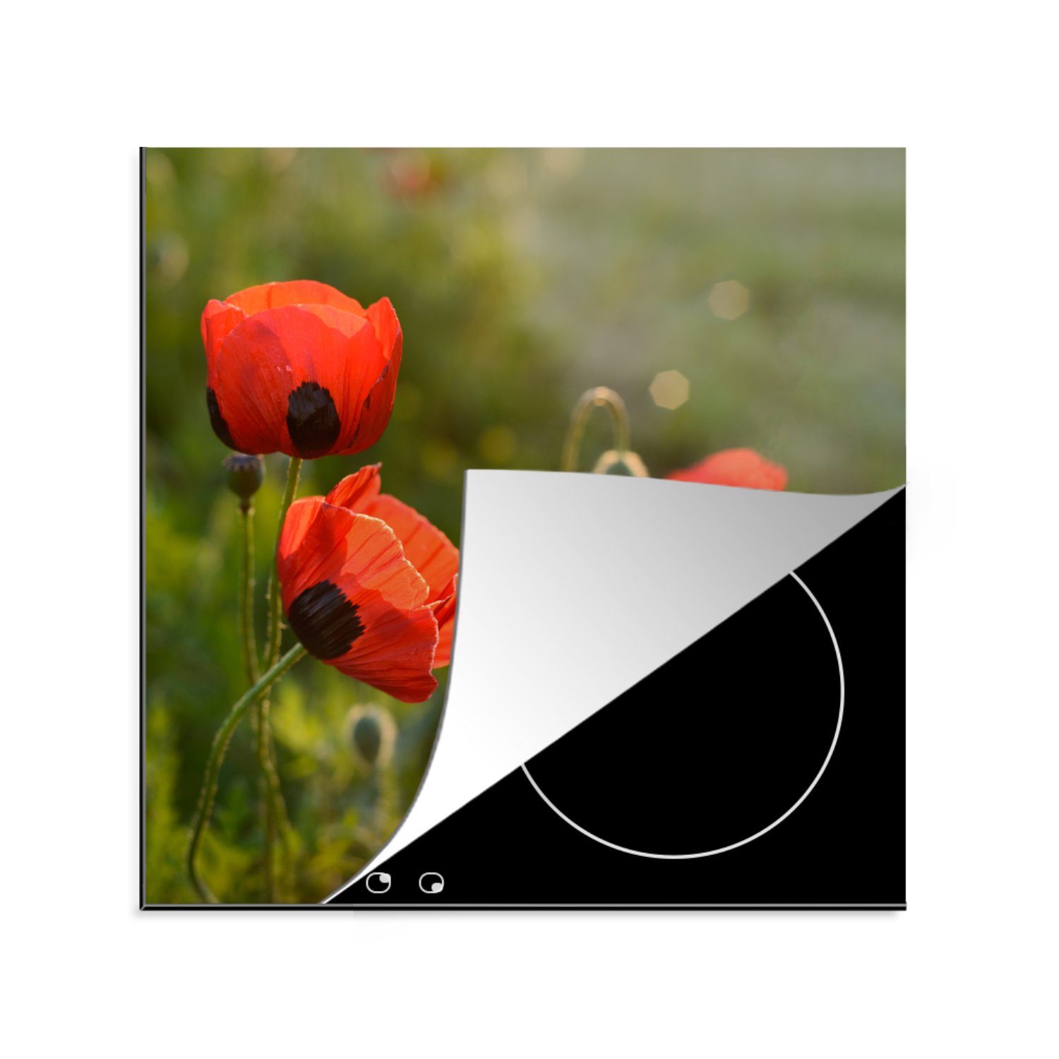MuchoWow Herdblende-/Abdeckplatte Mohnblumen bei Sonnenuntergang, (1 cm, küche 78x78 Vinyl, tlg), Arbeitsplatte Ceranfeldabdeckung, für