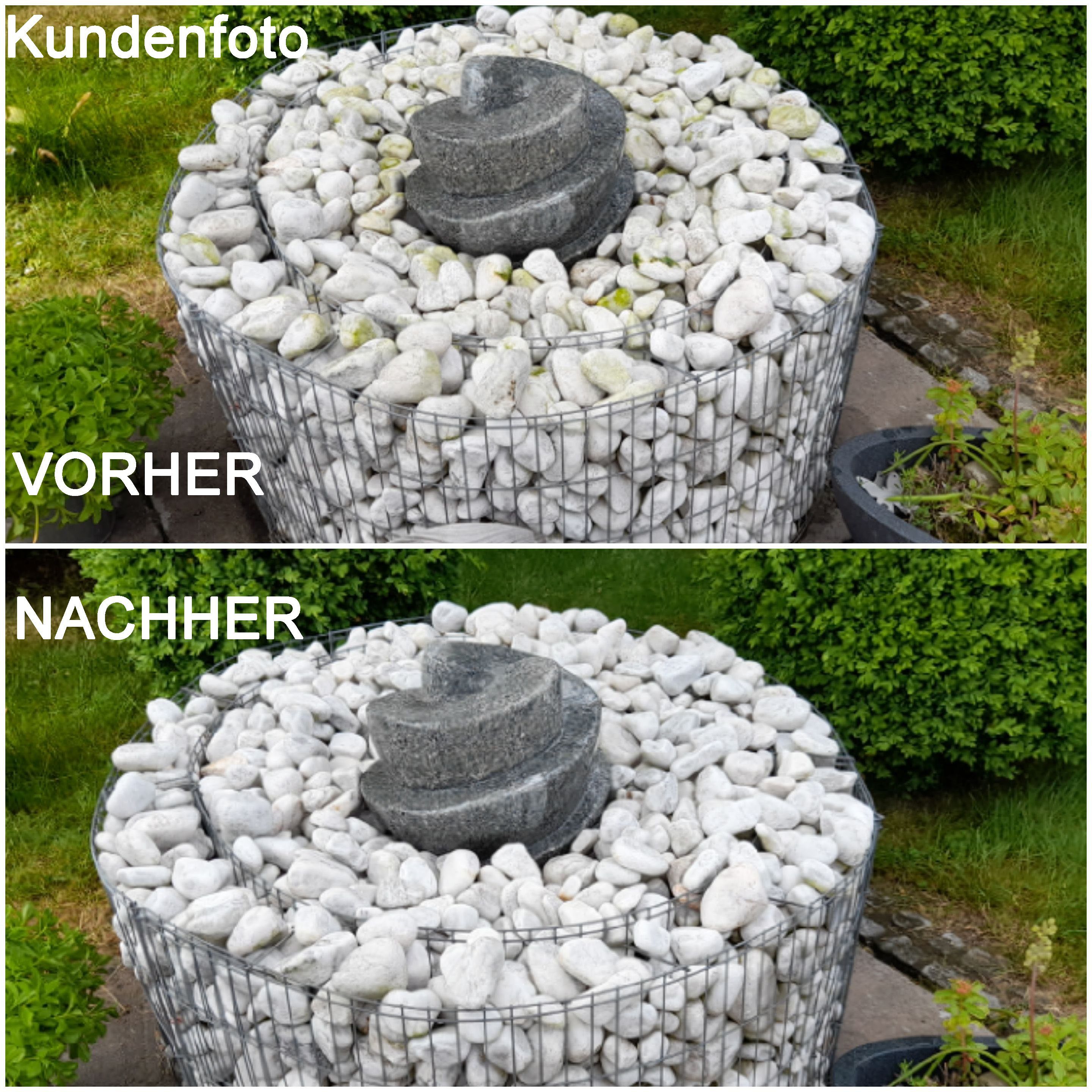 CleanPrince Grünbelag-Entferner Hochkonzentrat - reinigt selbsttätig Grünbelagentferner (selbsttätige Wirkungsweise)