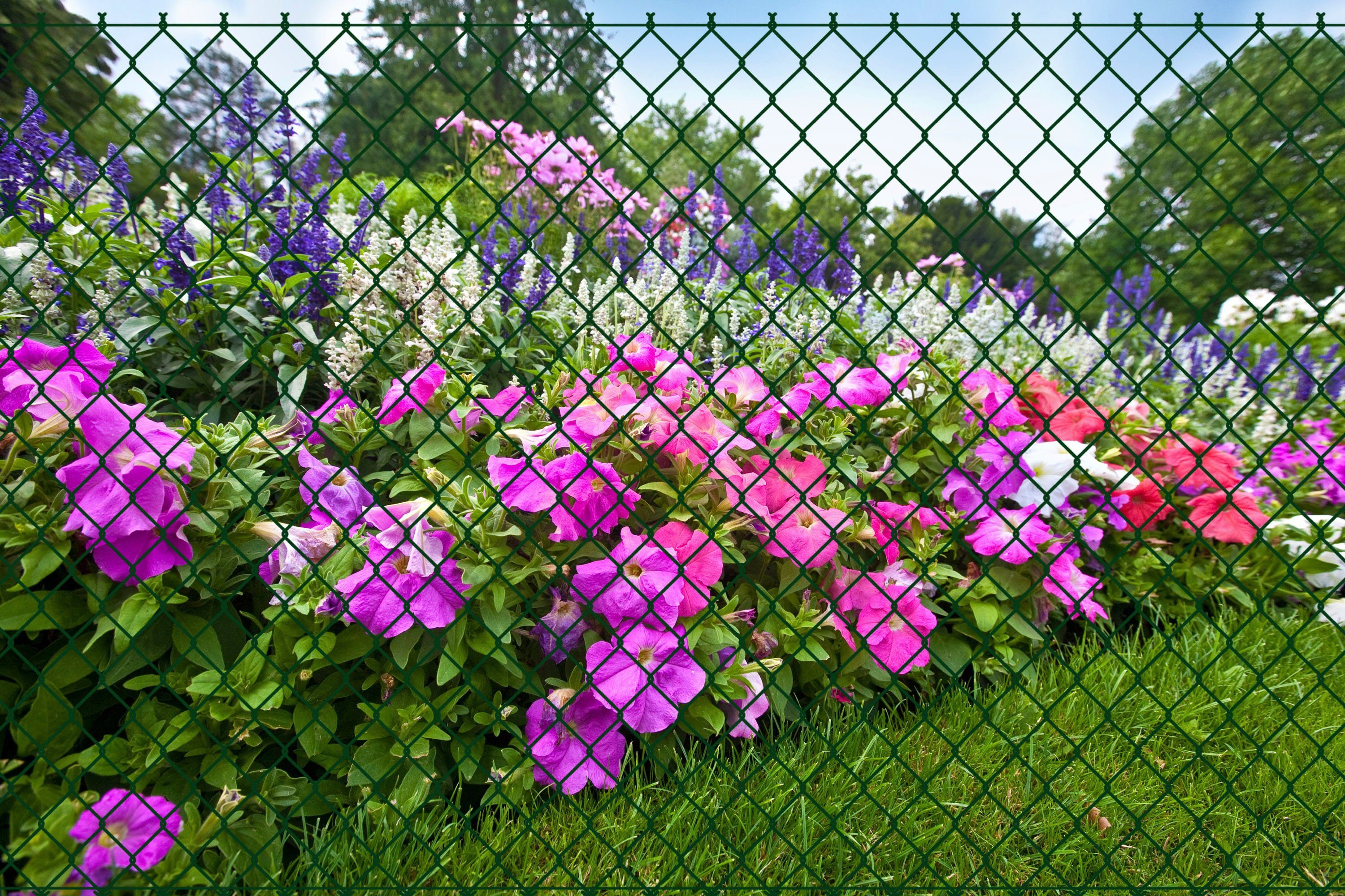 GARDEN 'N' MORE Maschendrahtzaun, (Set), 1 Element für 25 m, LxH: 2500 x 103 cm, mit 11 Pfosten