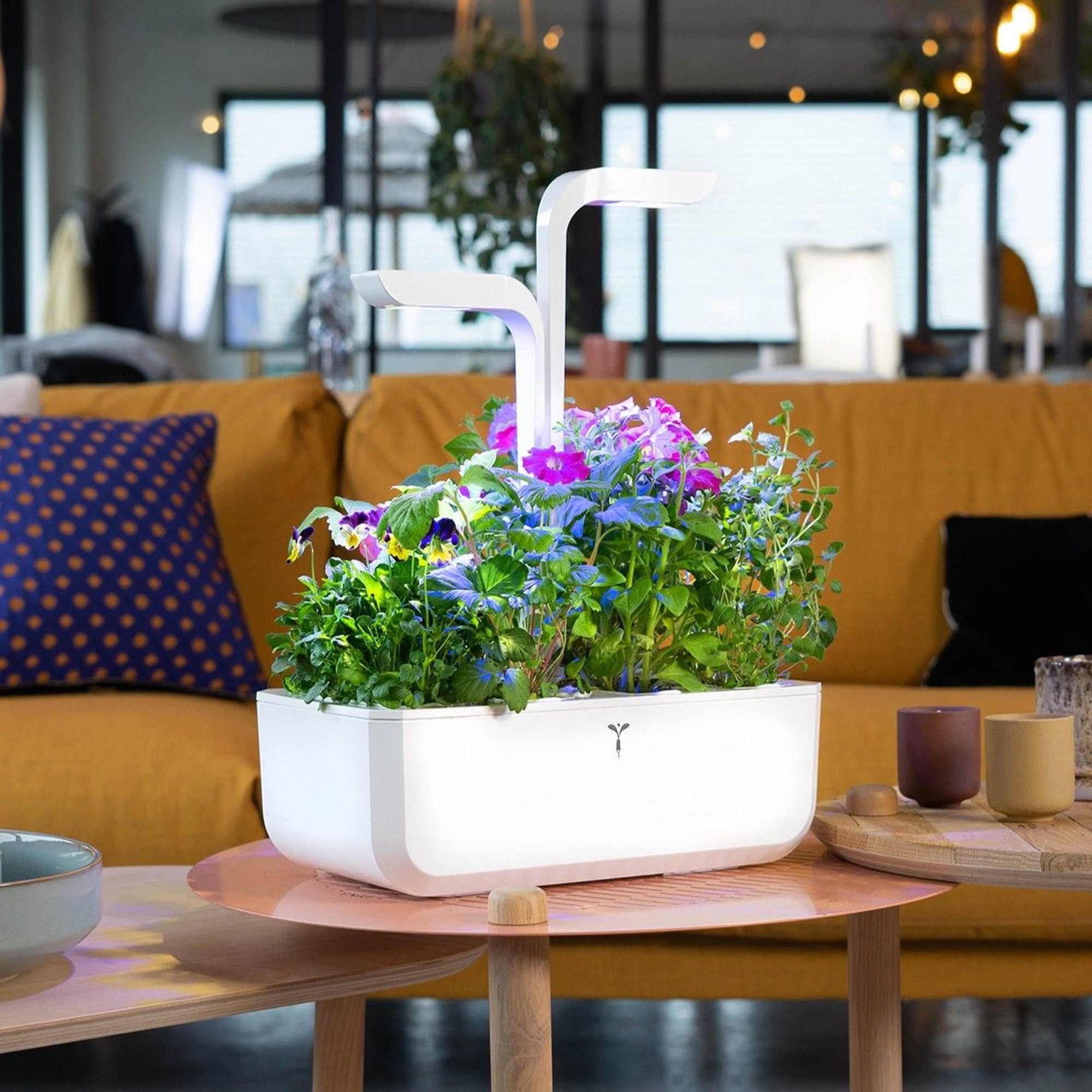 Veritable Anzuchttopf Vèritable CLASSIC (1 St)