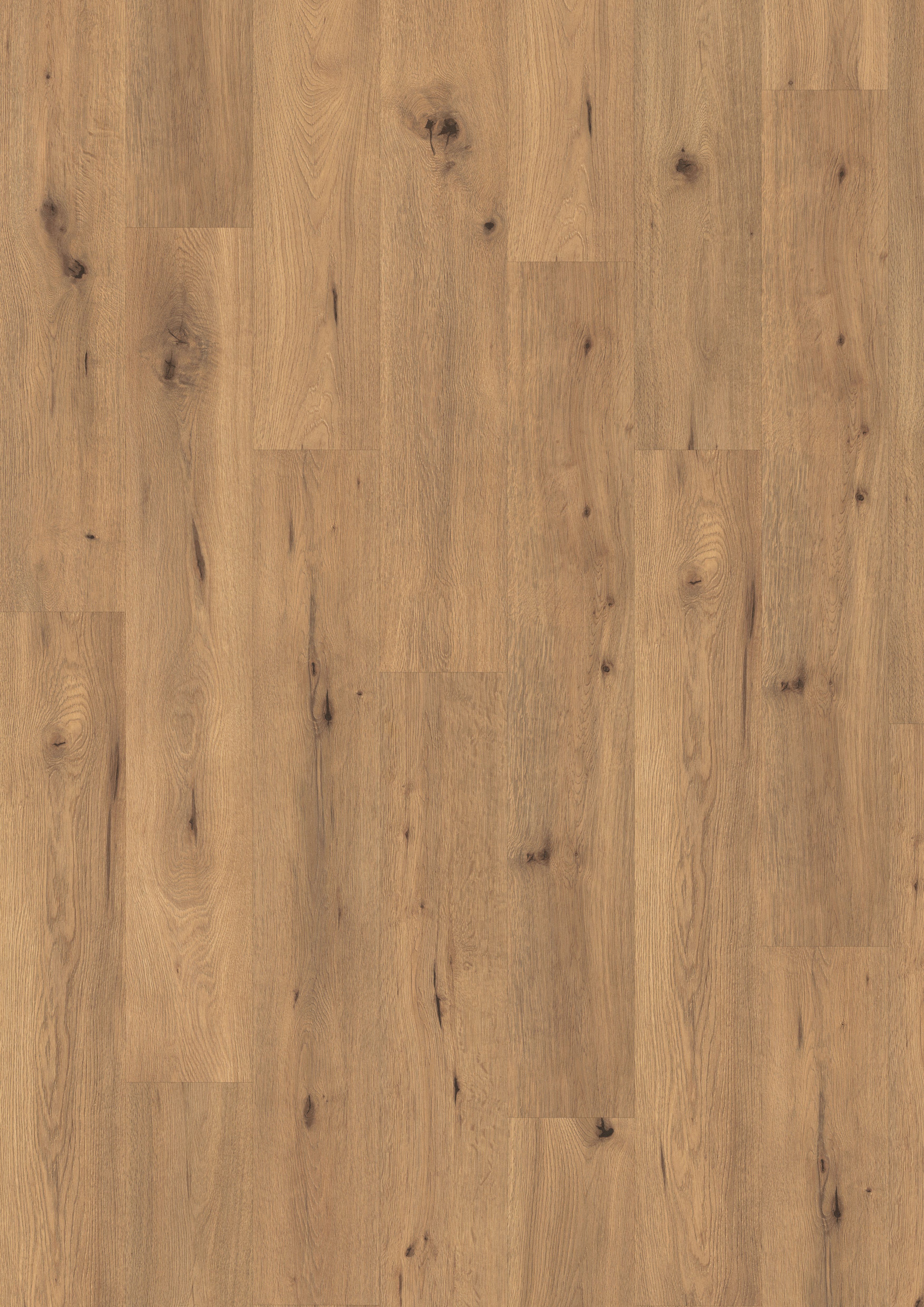 EGGER Vinylboden Aquadura EDF200 Wildeiche natur (7,5mm; 1,995qm), Wasserbeständig, Holzbasierter elastischer Bodenbelag mit HDF Trägerplatte