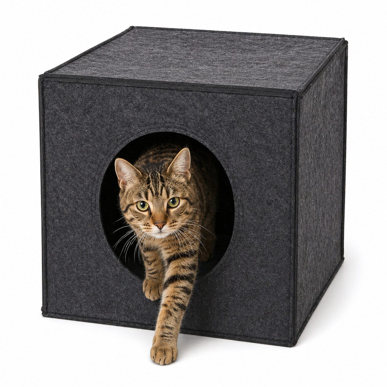 lionto Tierhöhle quadratisch, Regaleinsatz & Katzenbett 2-in-1, 33x37x33 cm Katzenhöhle aus robustem Filz
