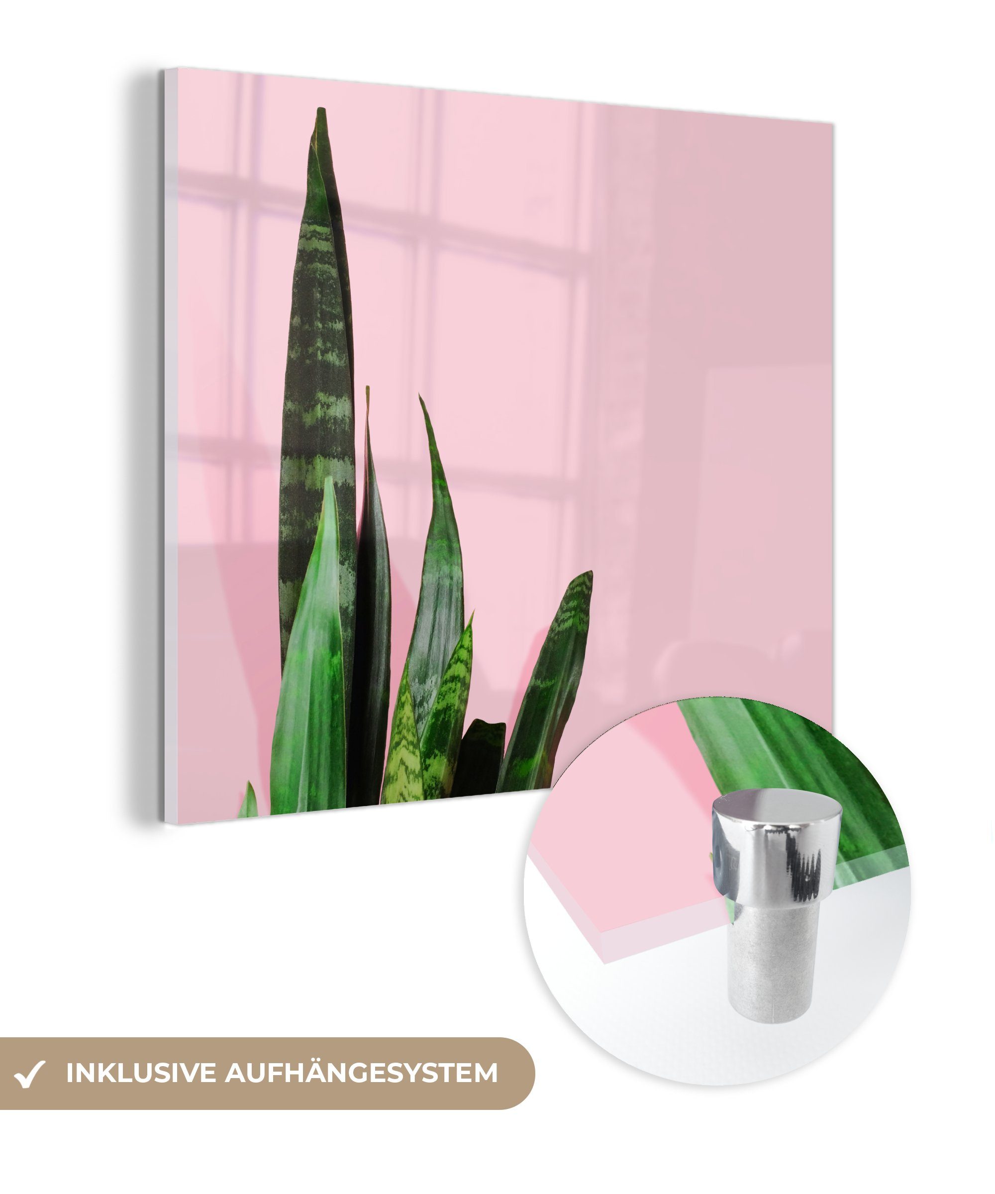 MuchoWow Acrylglasbild Große Zimmerpflanze auf rosa Hintergrund, (1 St), Glasbilder - Bilder auf Glas Wandbild - Foto auf Glas - Wanddekoration