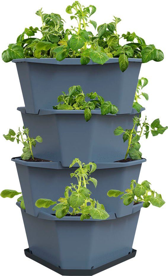 Gusta Garden Pflanzkübel PAUL POTATO Kartoffelturm, 4 Etagen inkl. Untersetzer, stapelbar, simpler Anbau von Kartoffeln blau | Pflanzkübel