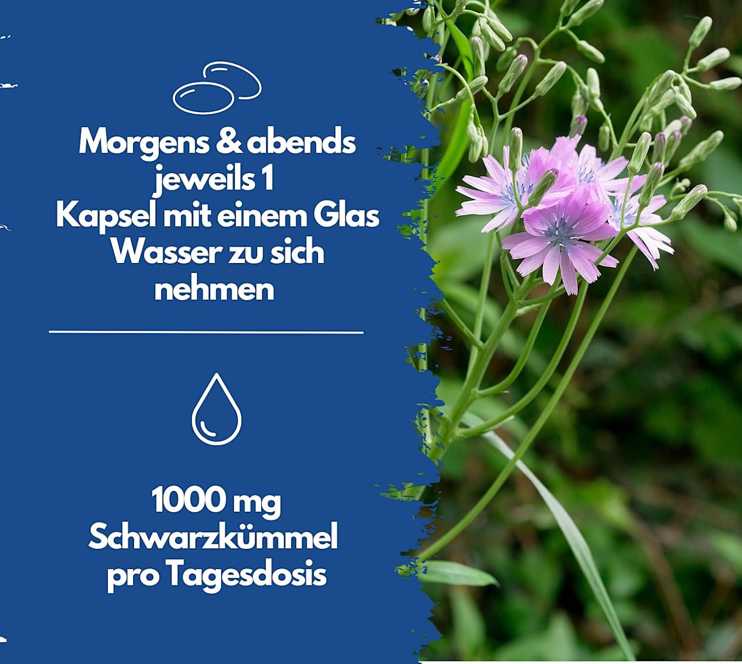 Schwarzkümmelöl kaltgepresst, ägyptisch, naturbelassen, mit Vitamin E Softgel Kapseln, 400 St., 280 g