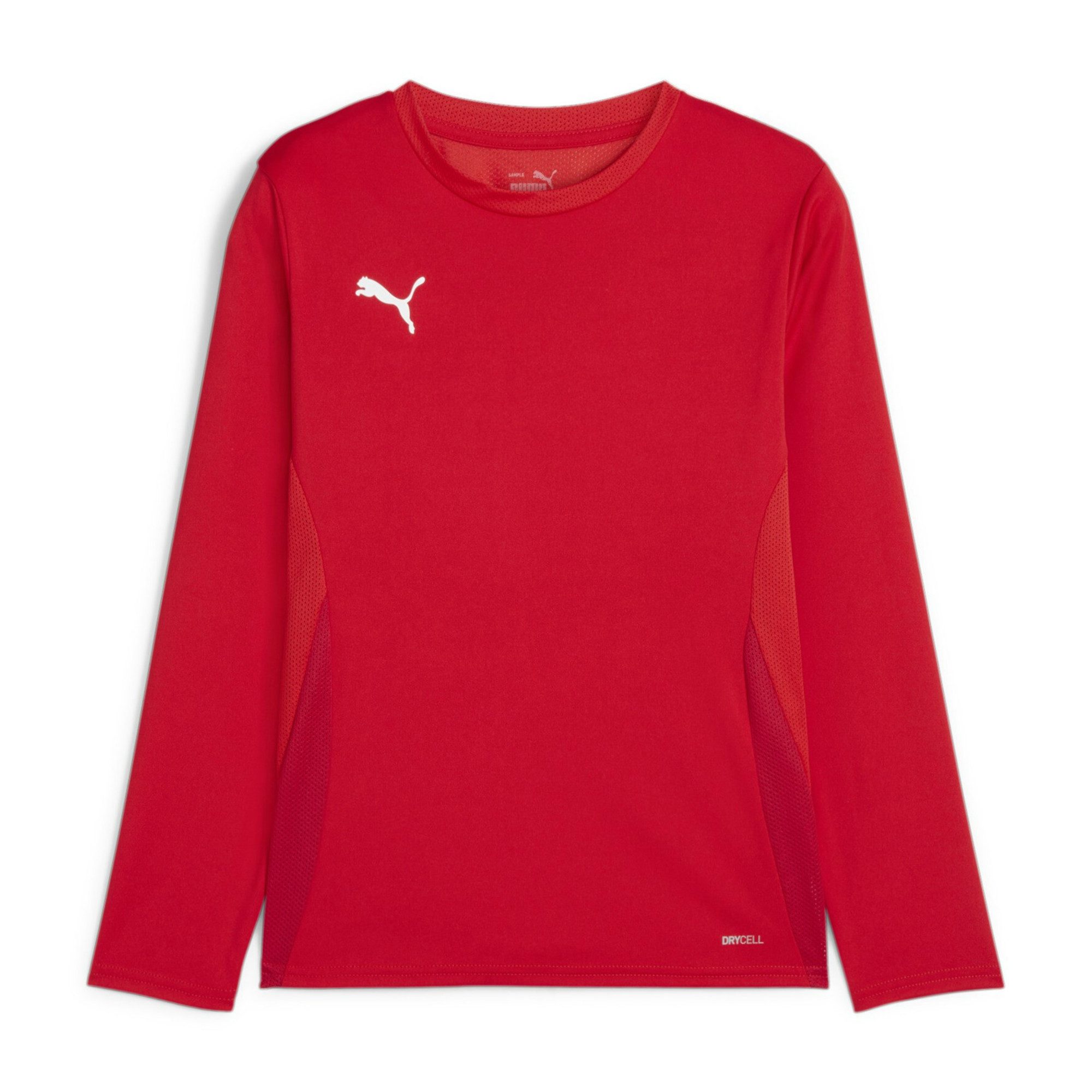 Langarmshirt Puma Kinder Langarm Shirt teamGOAL LS Jersey Jr 705751