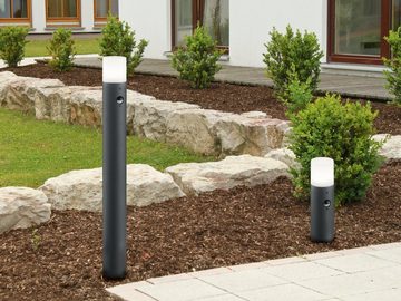 meineWunschleuchte LED Pollerleuchte, Bewegungsmelder, LED wechselbar, Warmweiß, Wegeleuchte mit Bewegungsmelder, Anthrazit, 80cm Wegbeleuchtung Garten