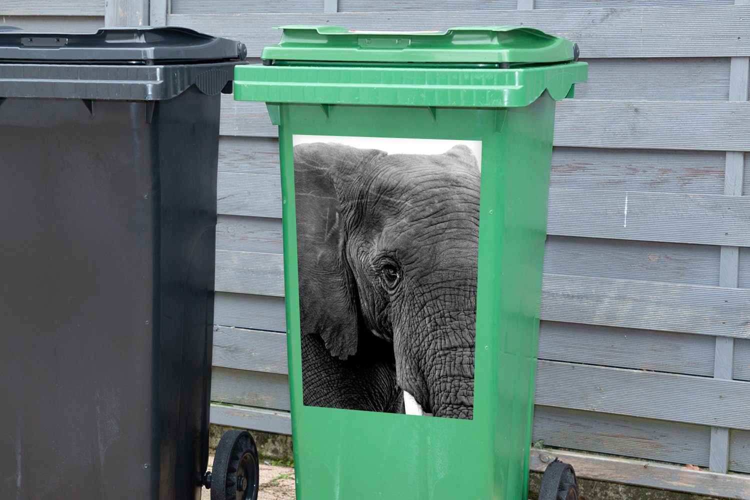 Schwarz Elefant MuchoWow - - - Container, Sticker, Mülltonne, Tiere (1 - Mülleimer-aufkleber, Abfalbehälter Weiß St), Natur Wandsticker