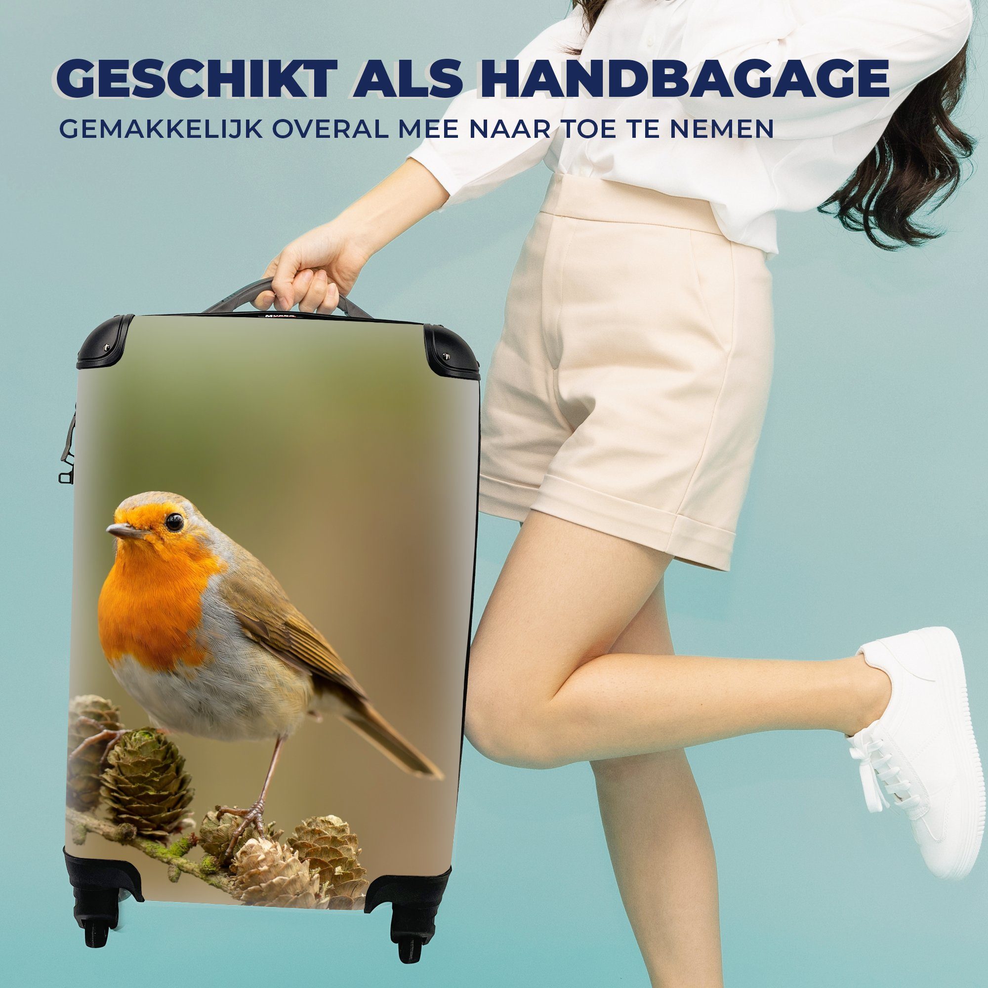 Trolley, Herbst, Ferien, Rollen, mit MuchoWow Reisekoffer Handgepäckkoffer 4 für Reisetasche Zweig Tannenzapfen - - - Vogel - Rotkehlchen rollen, Handgepäck