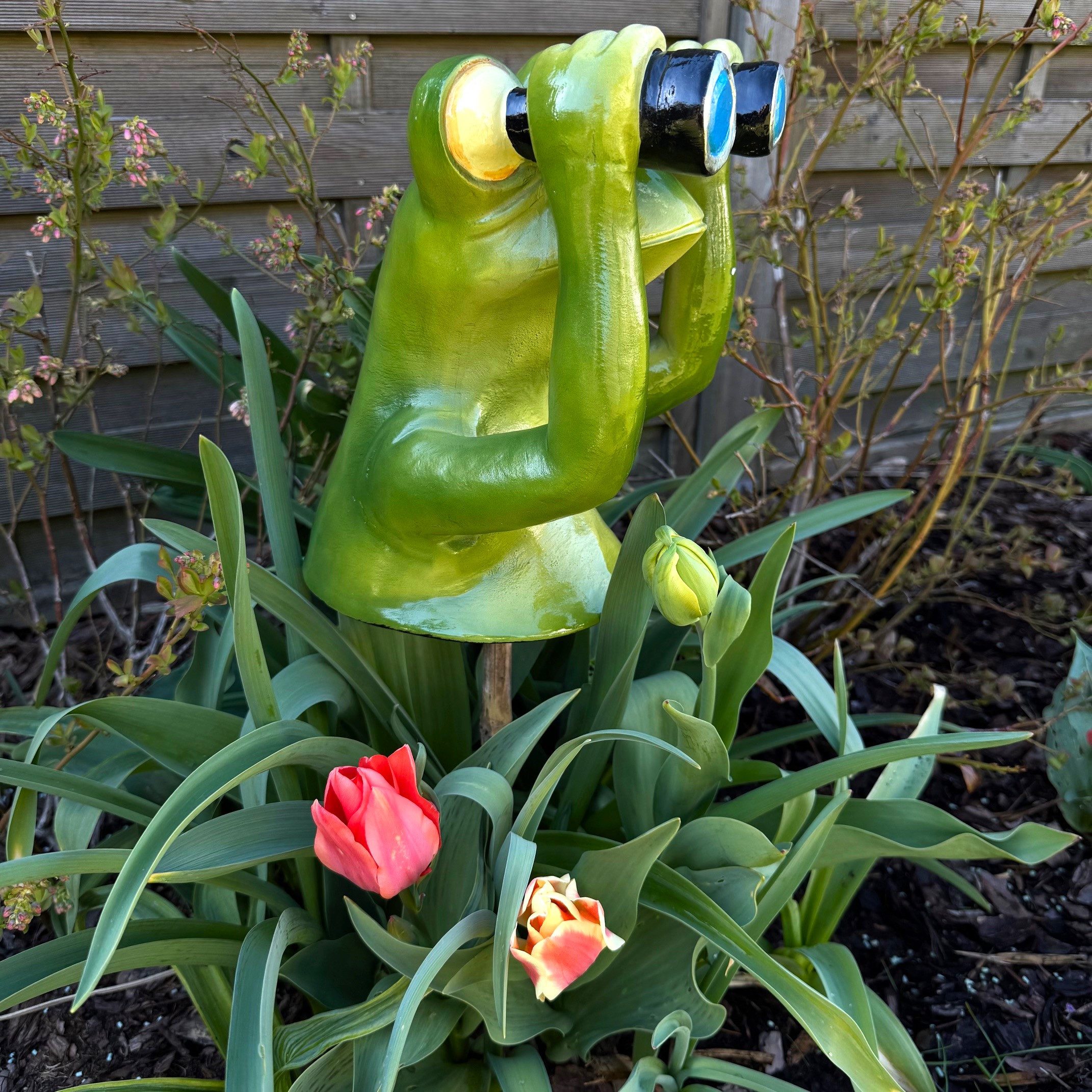 Online-Fuchs Gartenfigur Deko Figuren Frosch mit Fernglas, Spanner für Garten, Balkon, Terrasse, Gartenstecker, Beetstecker - wetterfest, für den Außenbereich geeignet