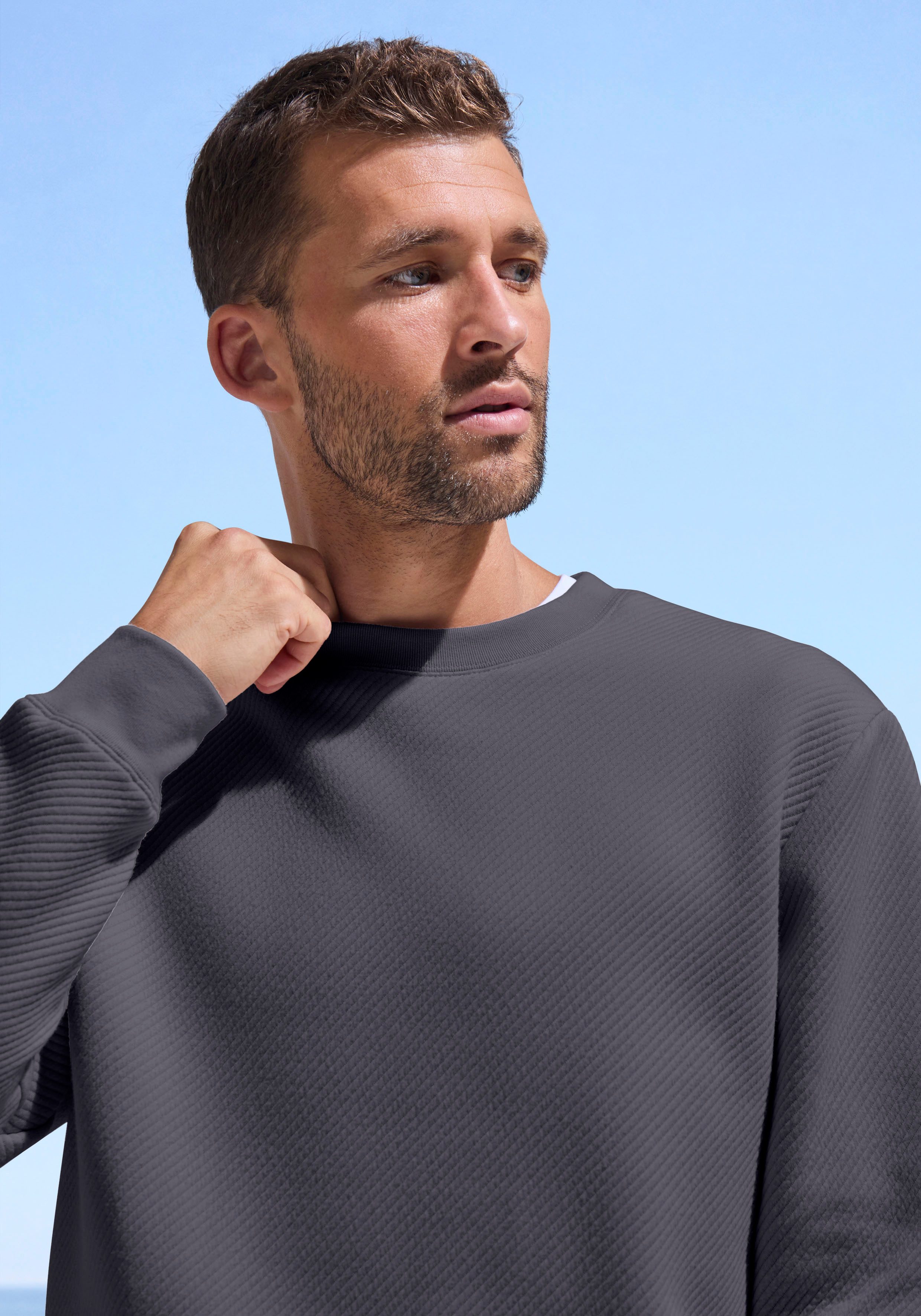 John Devin Sweatshirt Langarm, Pullover mit Struktur, Rundhals, Baumwollmischung