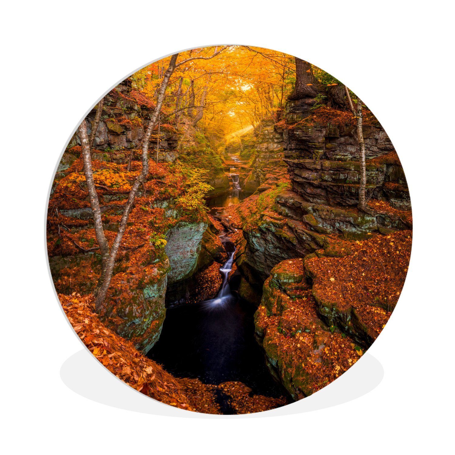 Wasserfall Kreis Herbst, im Wandbild, Wohnzimmer, Gemälde St), 30x30 Ein (1 Rundes MuchoWow Wanddekoration Forex, cm