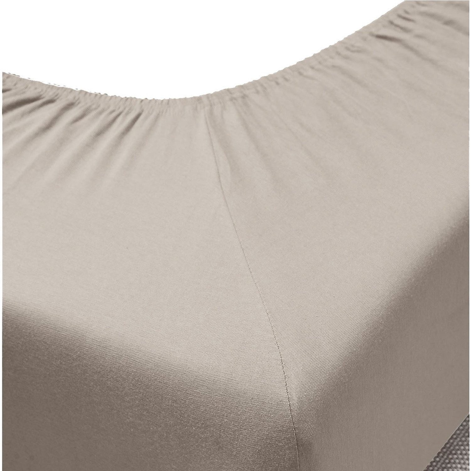 BIERBAUM Spannbettlaken Jersey Spannbetttuch Spannlaken Bierbaum 90x200 100x200, Jersey, Gummizug: rundum, (1 Stück), Für Matratzen bis 30cm Höhe
